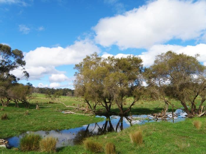 Lot 120 McKelvie Road, Nannup WA 6275, Nannup - Thumbnail 2