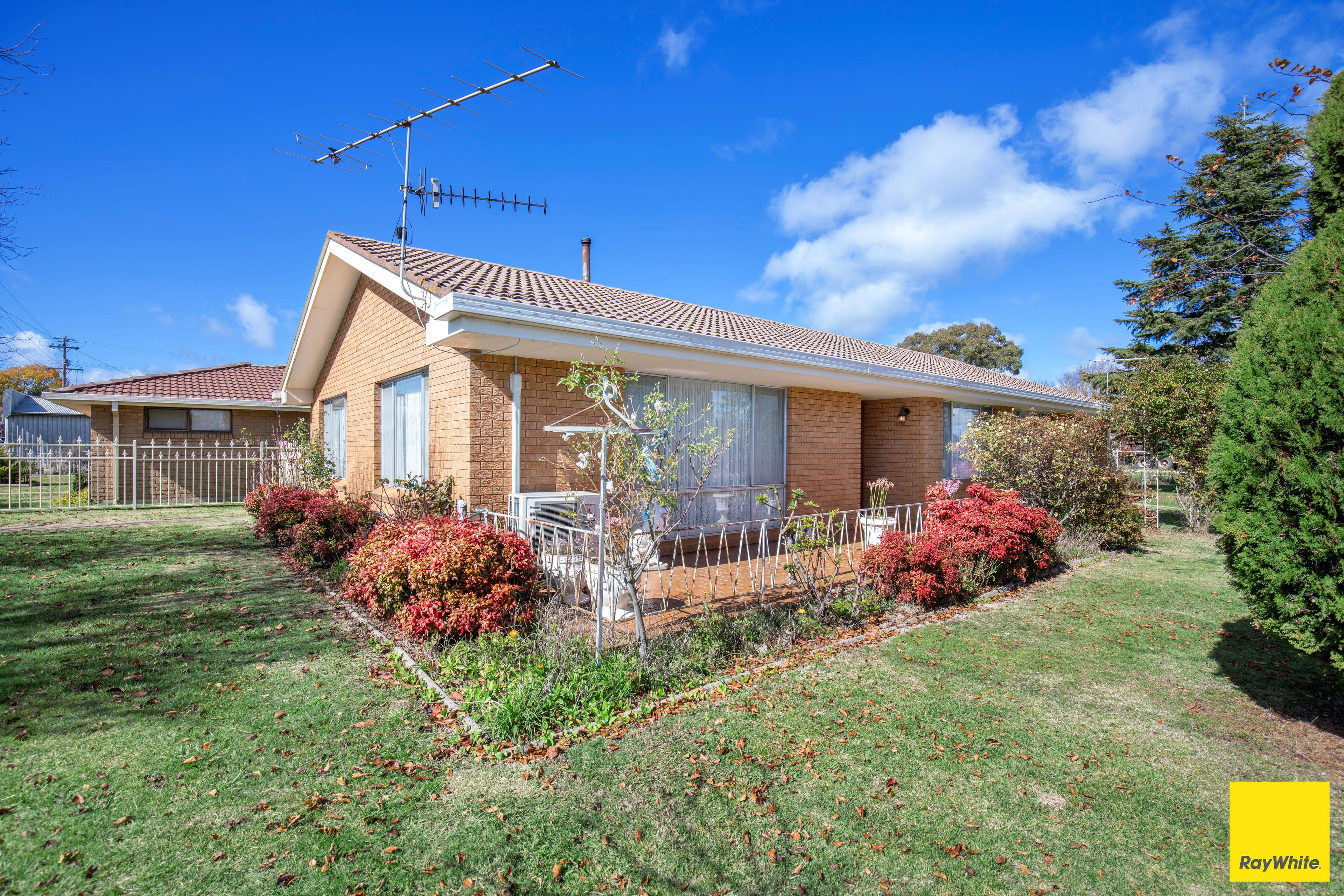7 White Street, Guyra NSW 2365, Guyra - Image 1