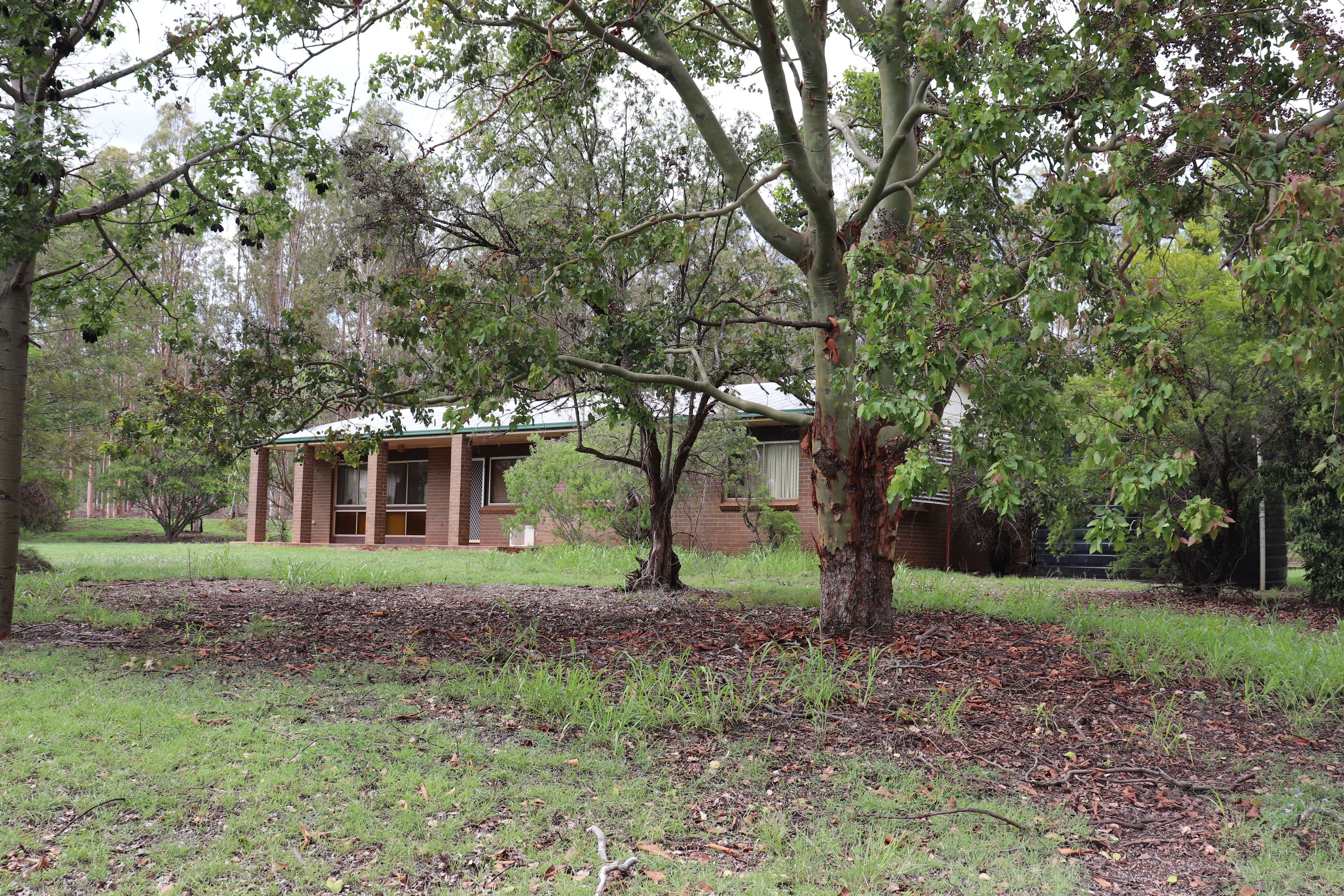 491 Sandows Road, Binjour QLD 4625, Binjour - Thumbnail 6