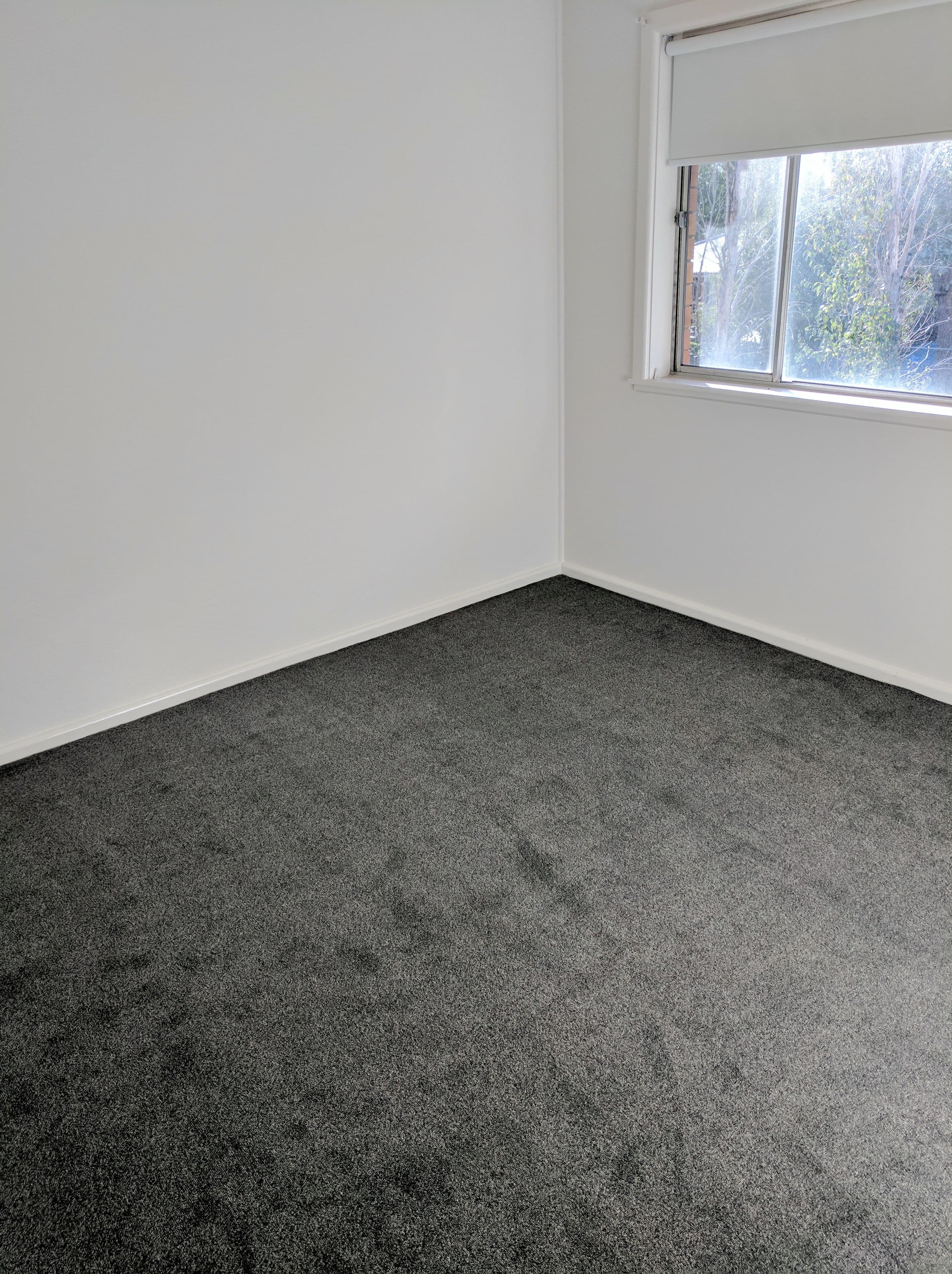 2 Edward Street, Tamworth NSW 2340, Tamworth - Thumbnail 6