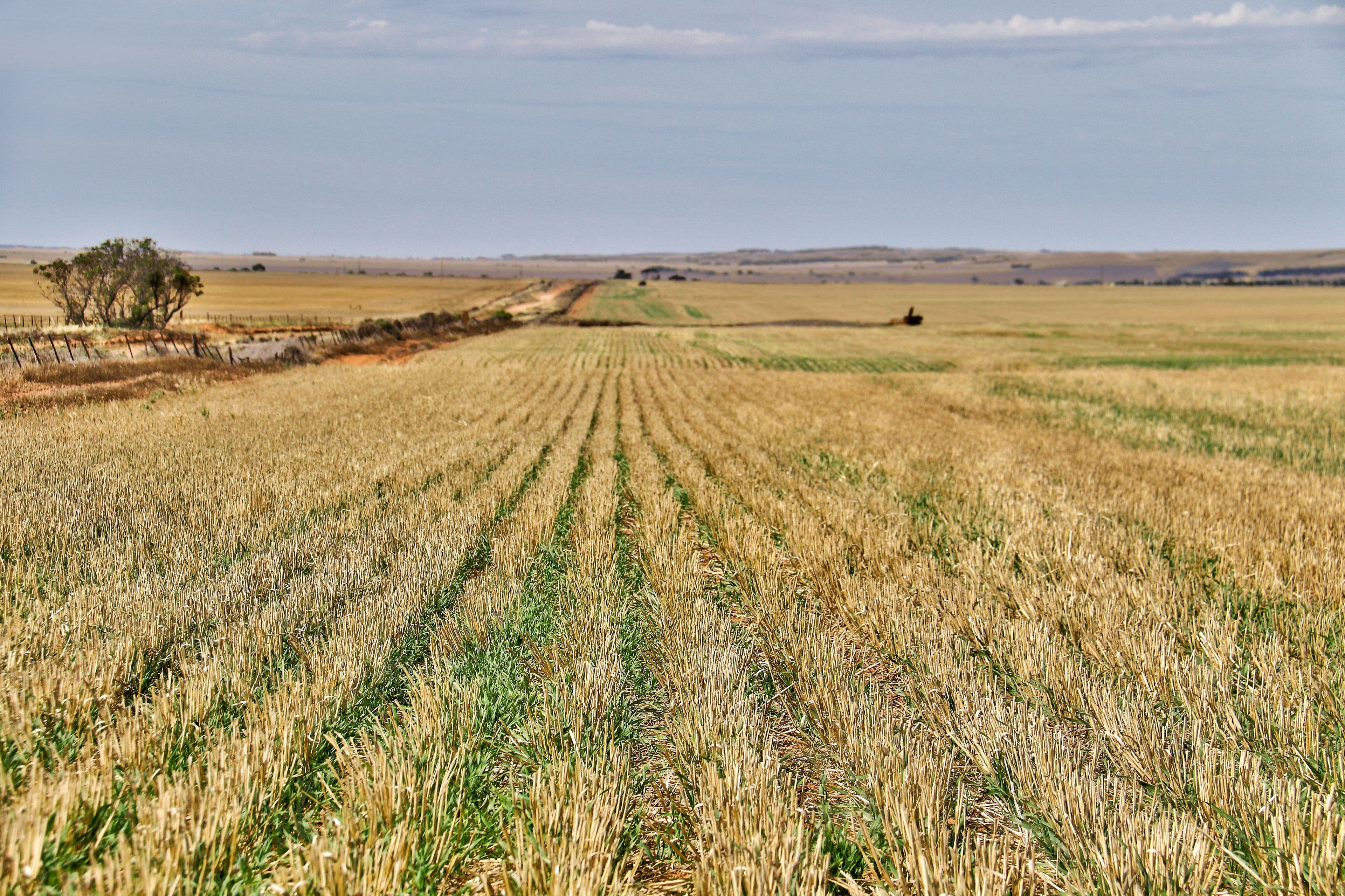 "Warrindi" 1185 Pump Station Road, South Hummocks SA 5550, South Hummocks - Thumbnail 6
