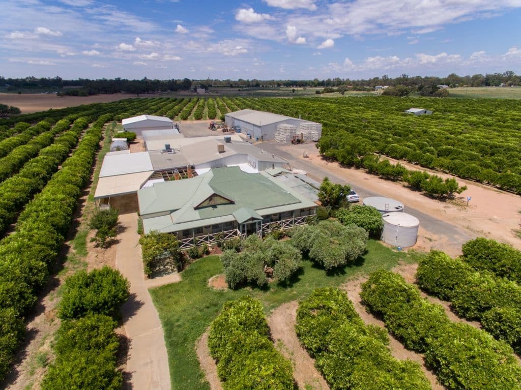 2265 Silver City Highway, Curlwaa NSW 2648, Curlwaa - Thumbnail 2