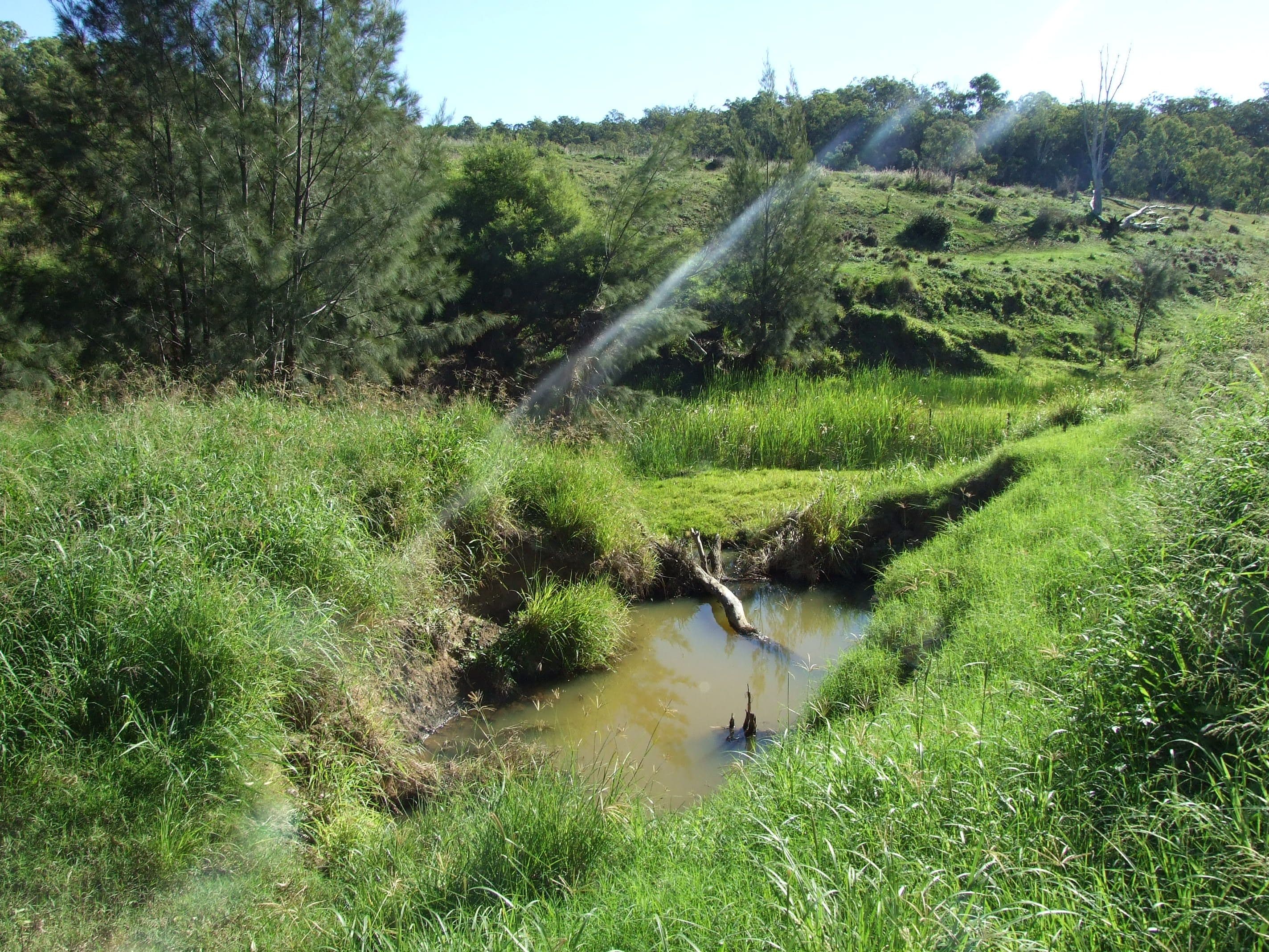 L11 Pierce Creek Road, Emu Creek QLD 4355, Emu Creek - Thumbnail 4