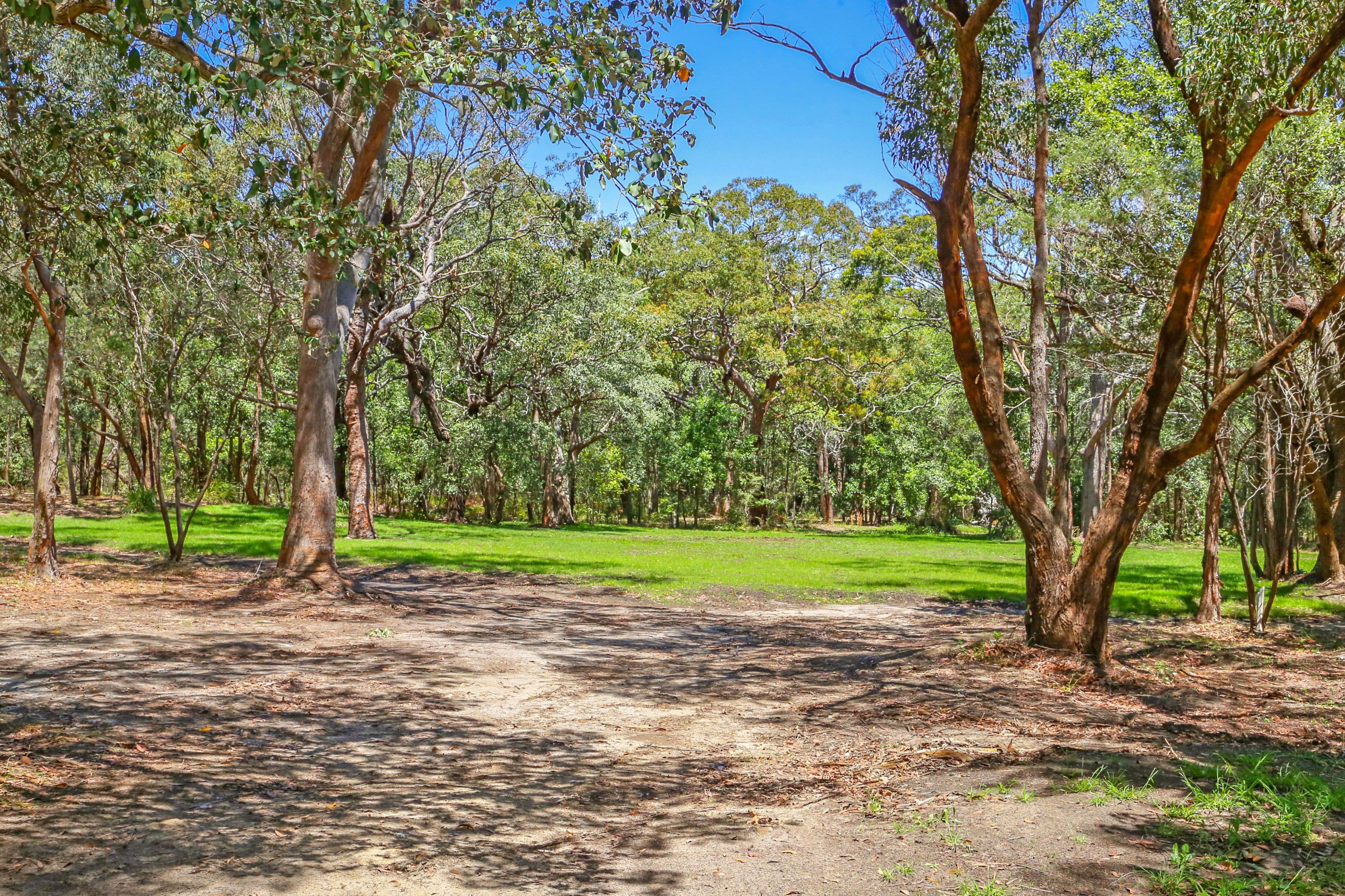 113 Maitland Bay Drive, Killcare Heights NSW 2257, Killcare Heights - Thumbnail 4