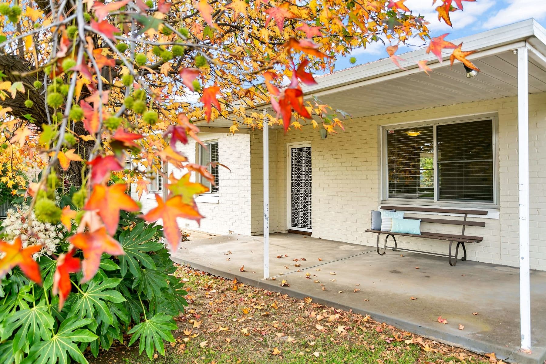 5 Salrak Avenue, Marion SA 5043, Marion - Thumbnail 3