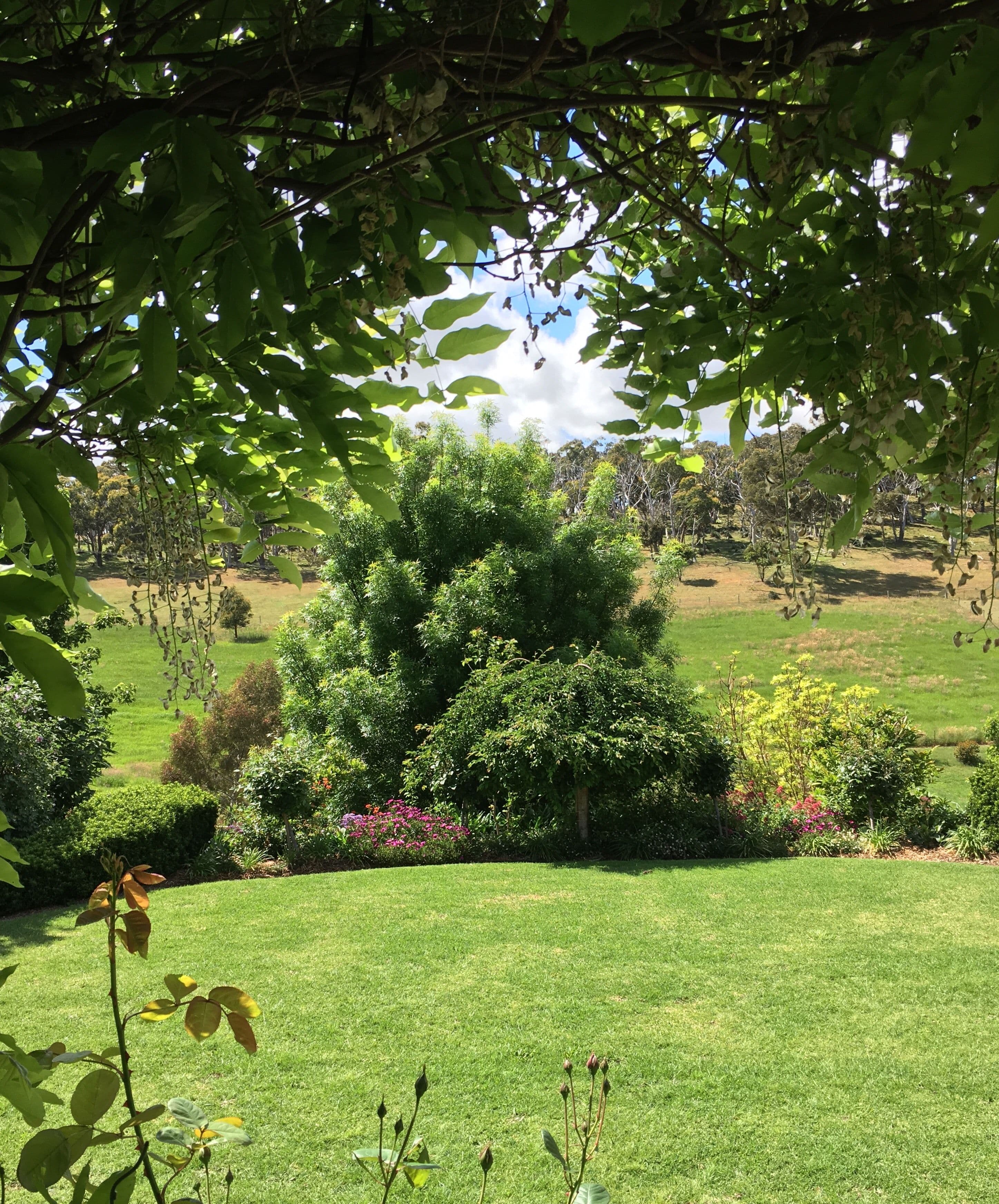 81 Totness Road, Hahndorf SA 5245, Hahndorf - Thumbnail 7