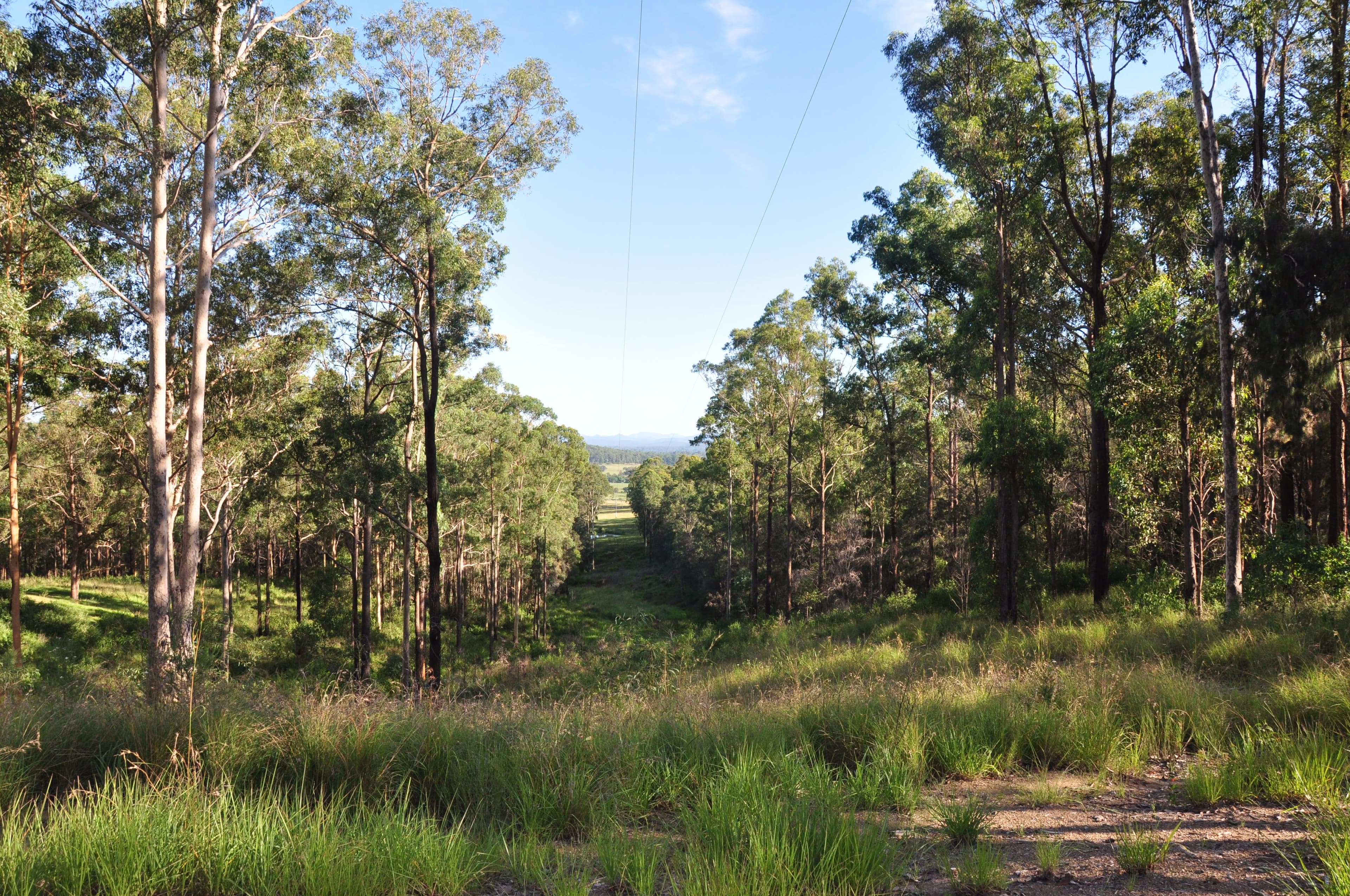 718 Pipers Creek Road, Dondingalong NSW 2440, Dondingalong - Thumbnail 4