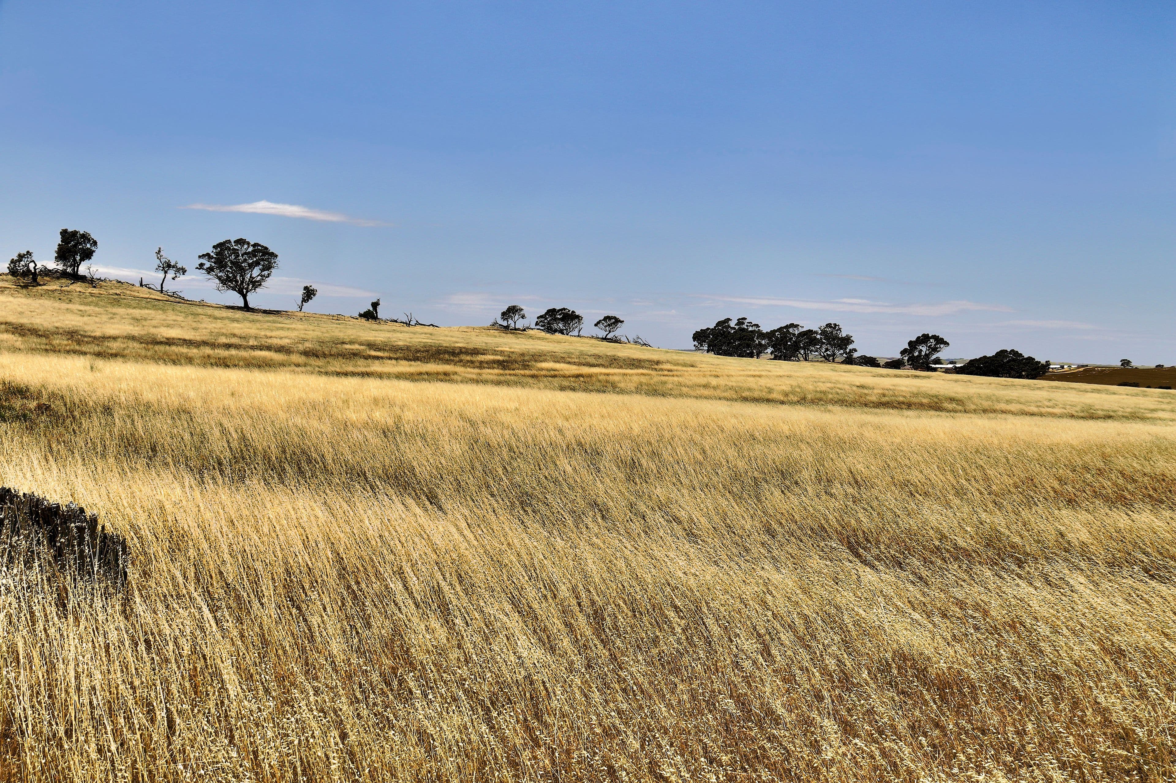 "Tarnma Block" Curio Highway, HAMPDEN SA 5374, Hampden - Thumbnail 7