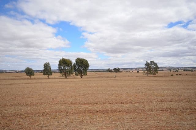 "NJ's" Tarnma Road, MARRABEL SA 5413, Marrabel - Thumbnail 7