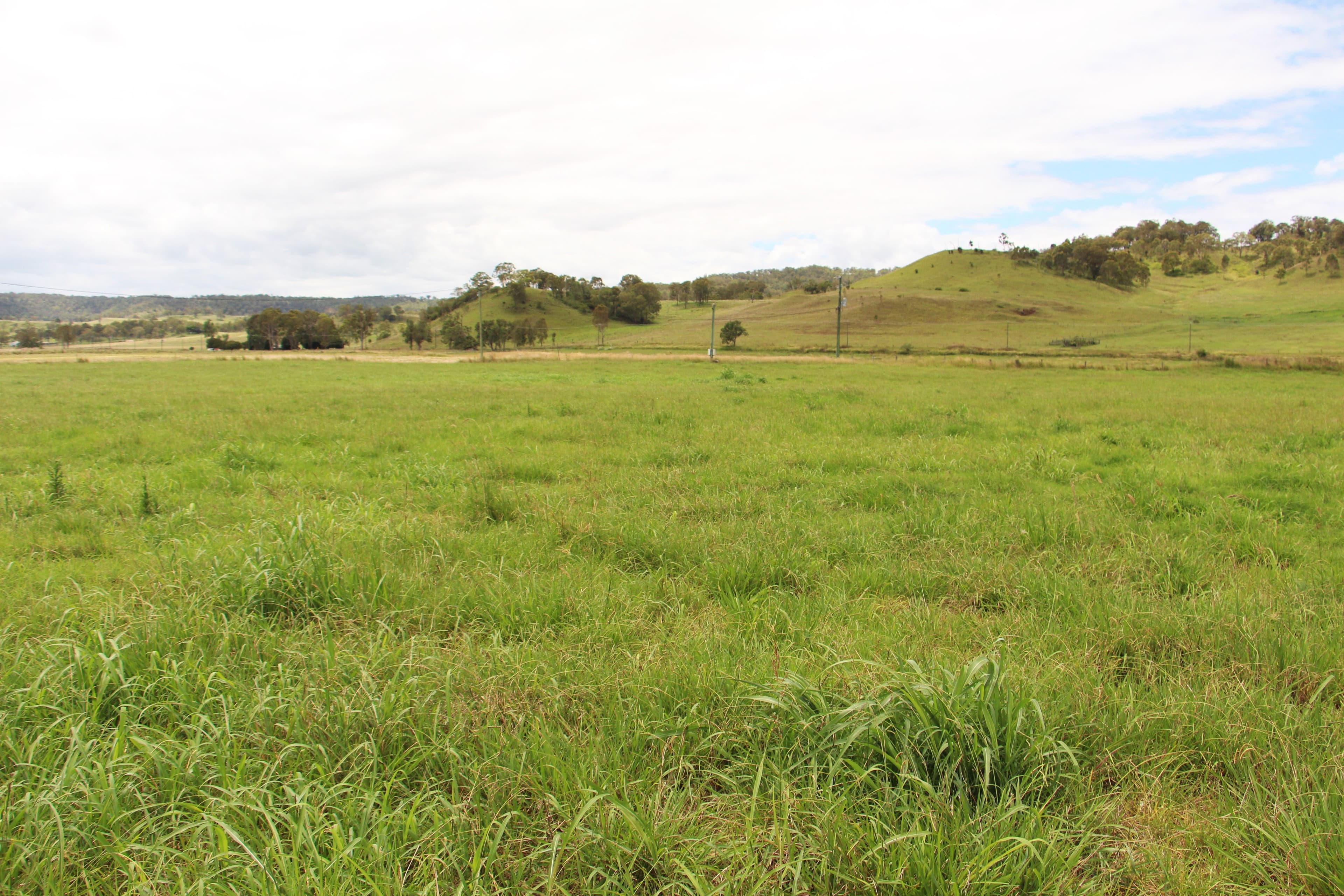 604 Running Creek Road, Running Creek QLD 4287, Running Creek - Thumbnail 4