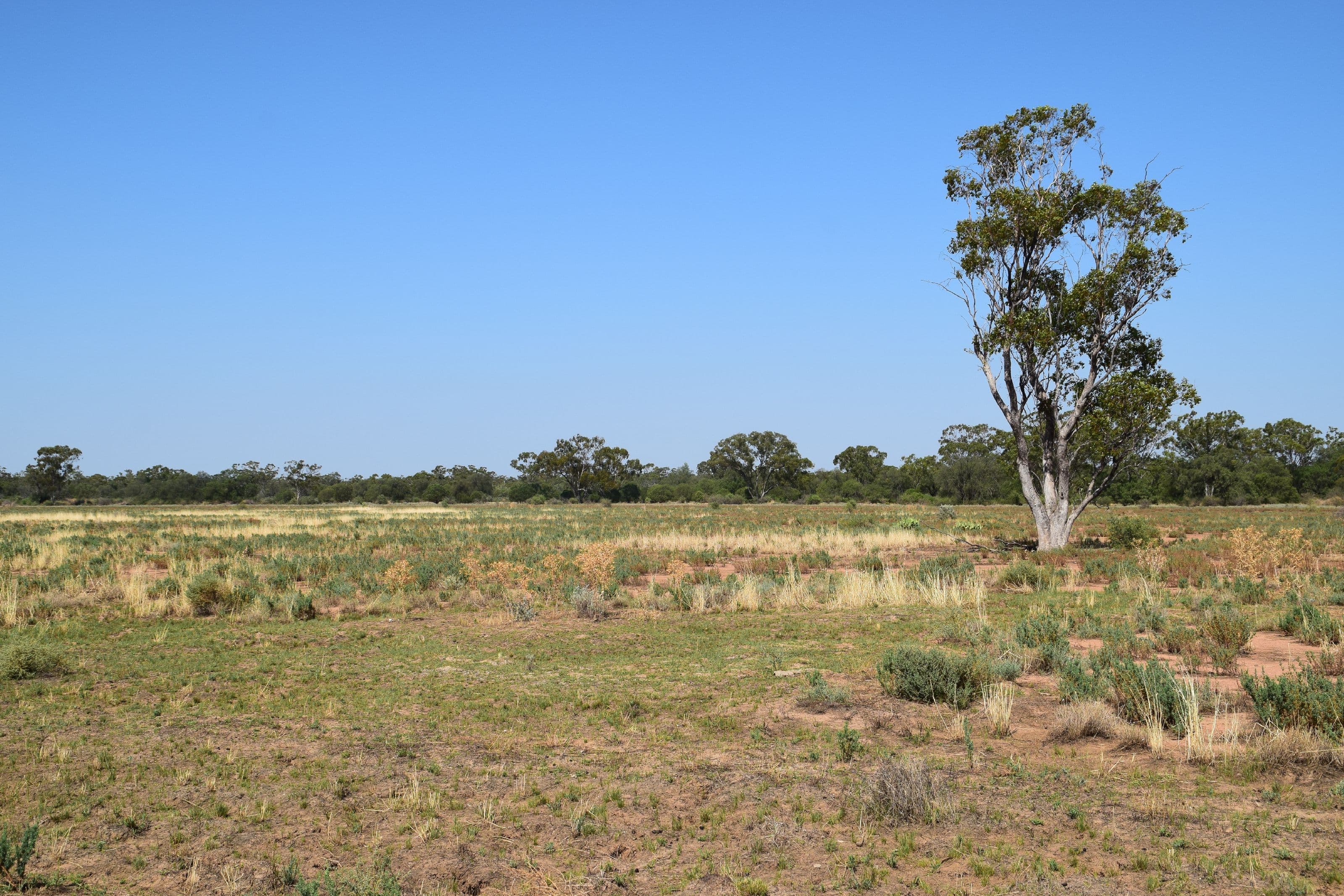 'Munna Munna', Coonamble NSW 2829, Coonamble - Thumbnail 8