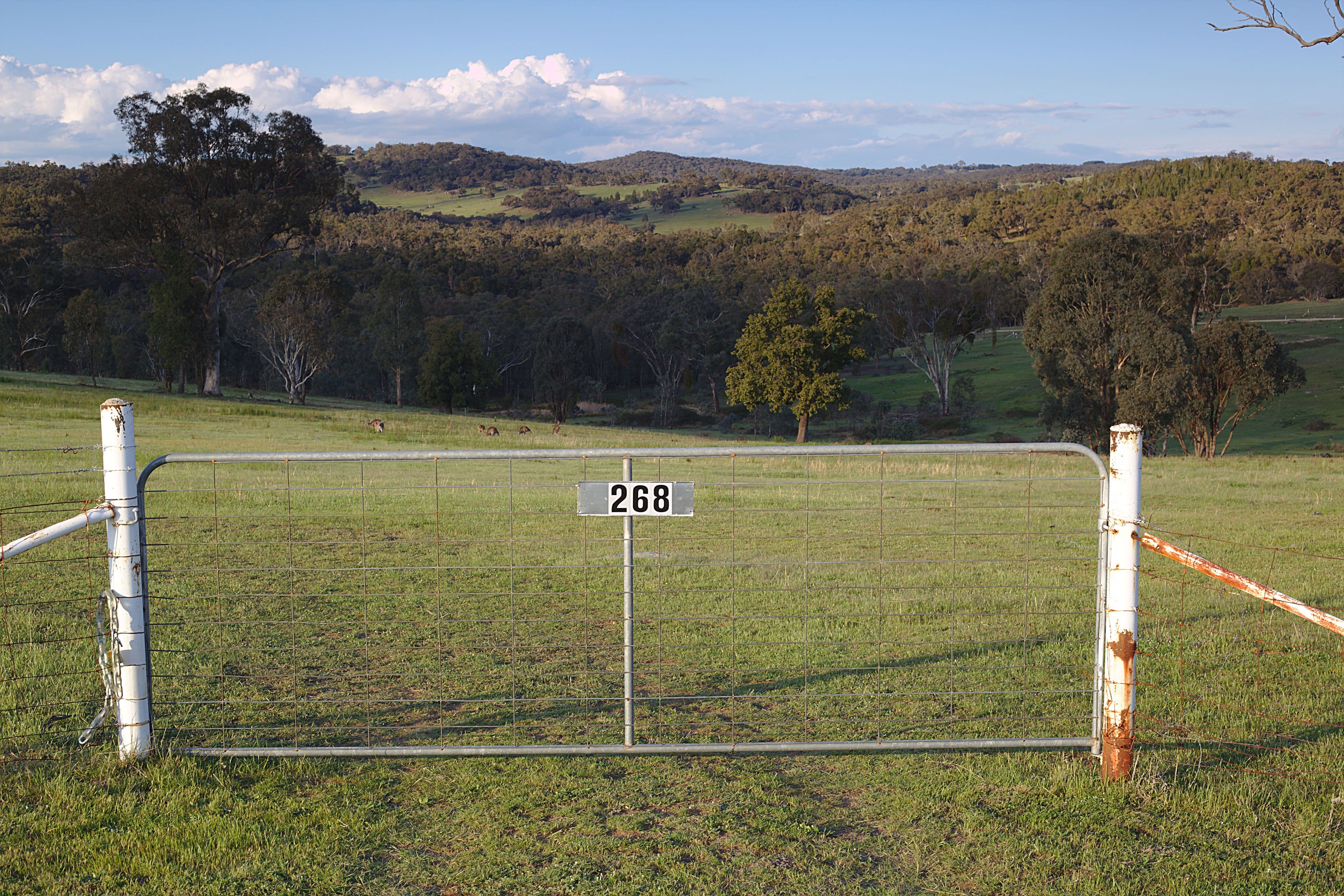 268 Horton Drive, Woodstock NSW 2793, Woodstock - Image 1