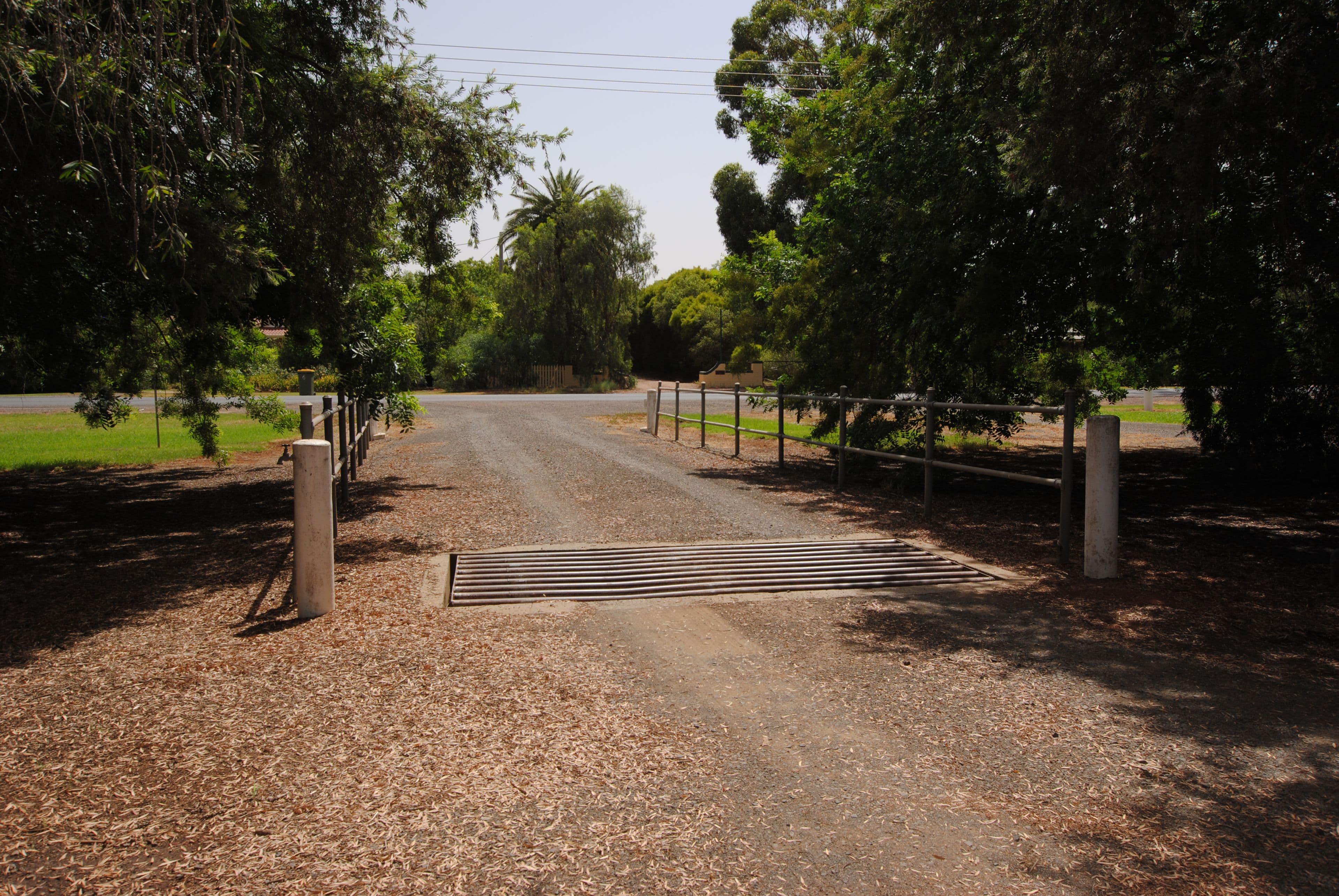 891 Watkins Avenue, Griffith NSW 2680, Griffith - Thumbnail 2