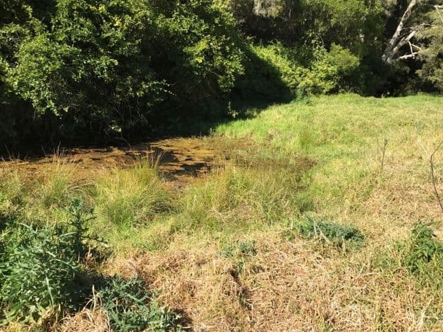 129 Quartpot Creek Road, Underbank NSW 2420, Underbank - Thumbnail 7