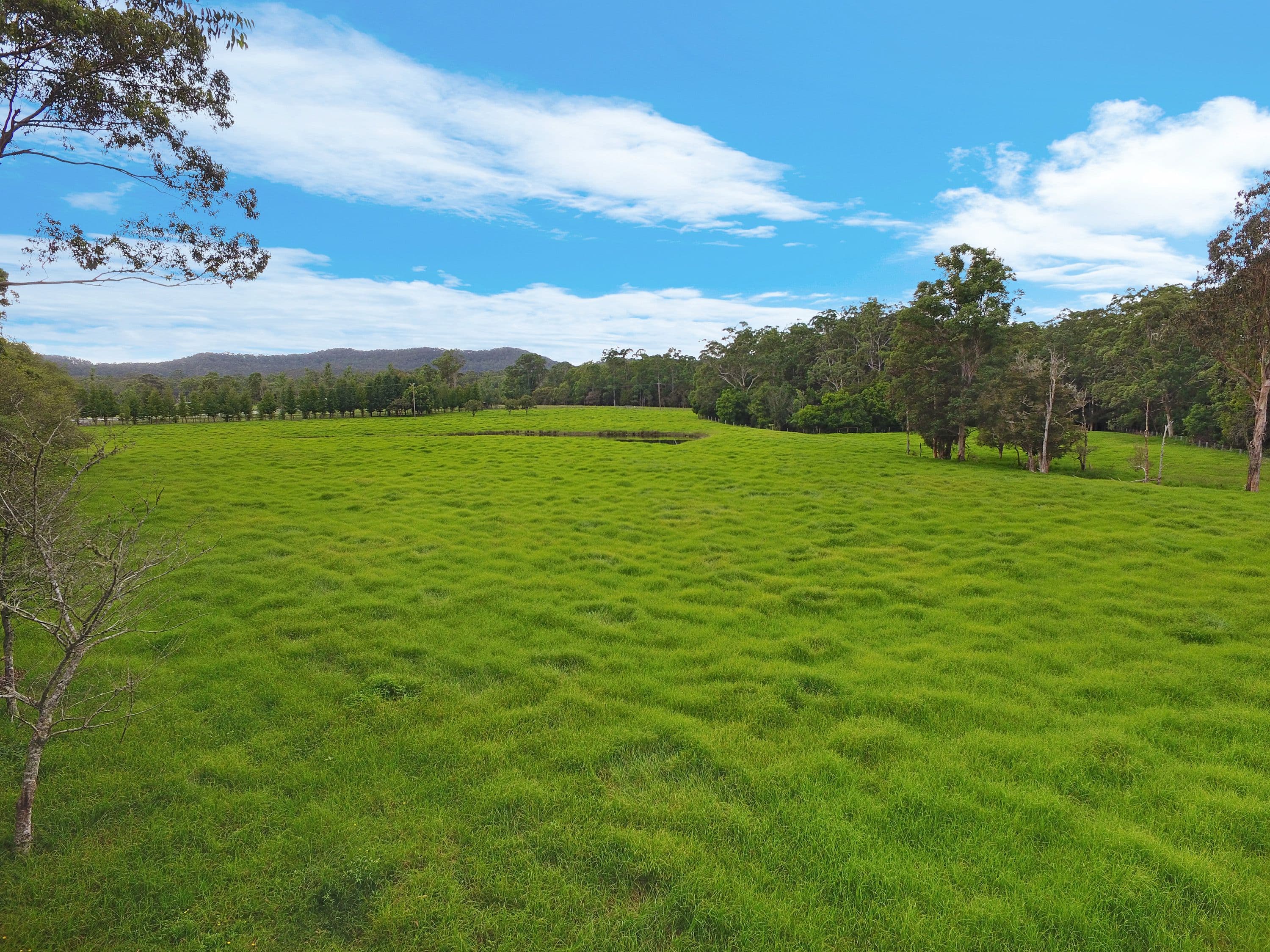 Dooralong NSW 2259, Dooralong - Thumbnail 5