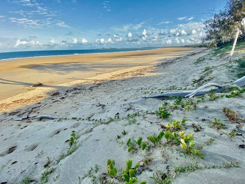 6-24 Belangason Way, Shoal Point QLD 4750, Shoal Point - Thumbnail 3