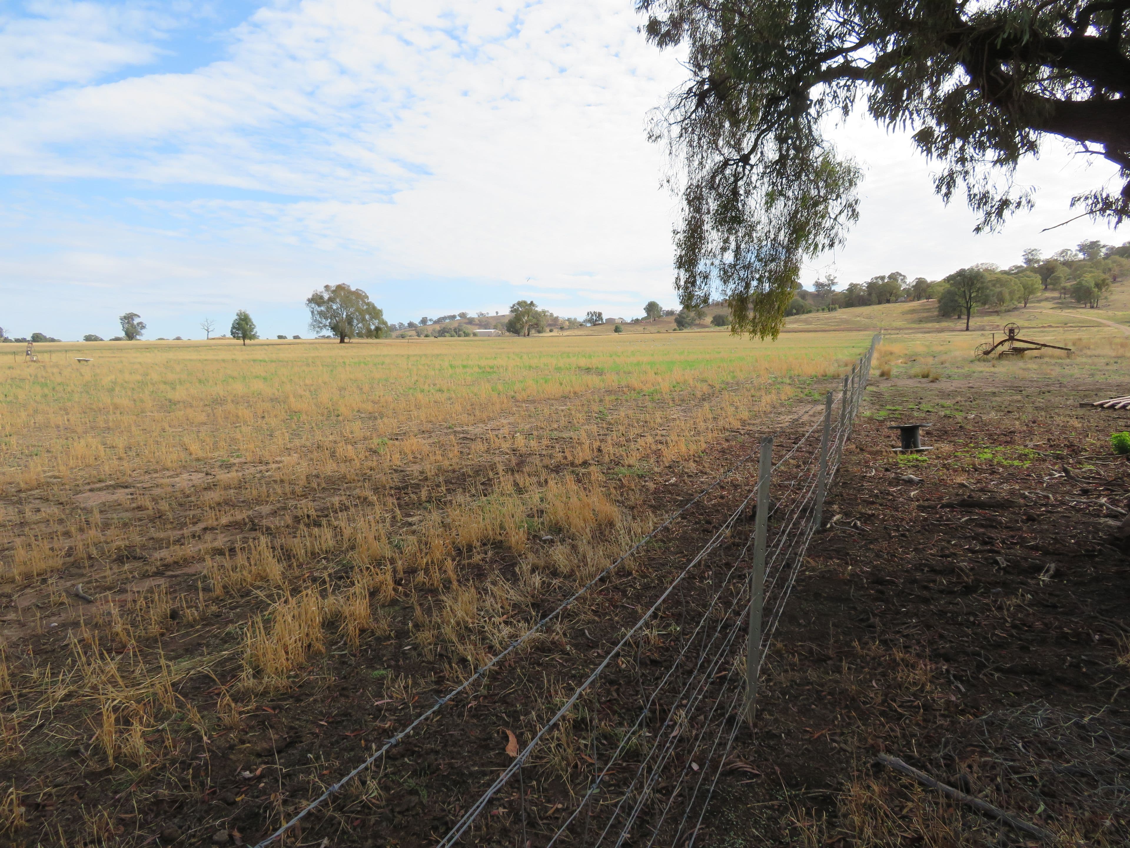 Lot 4 Old Hume Highway (Mundarlo Rd), Tumblong NSW 2729, Tumblong - Thumbnail 5