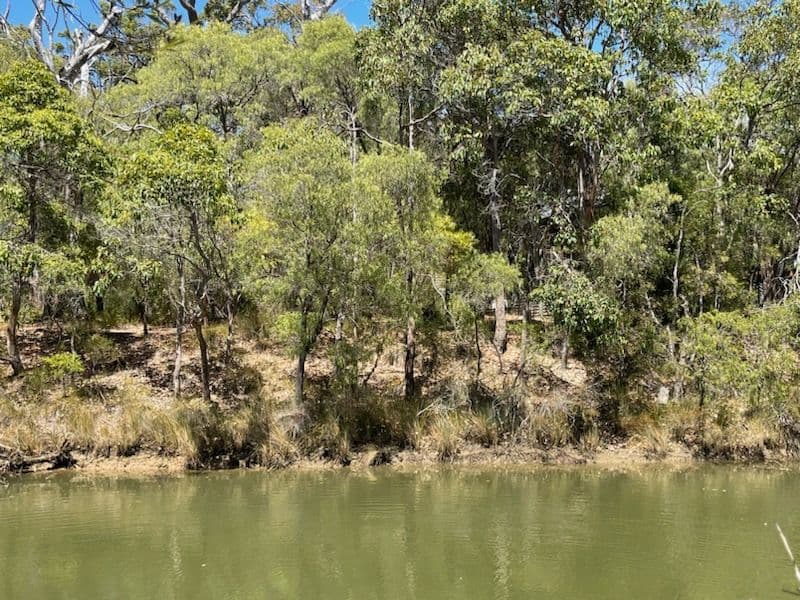 8 Flora Grove, Molloy Island WA 6290, Molloy Island - Thumbnail 2