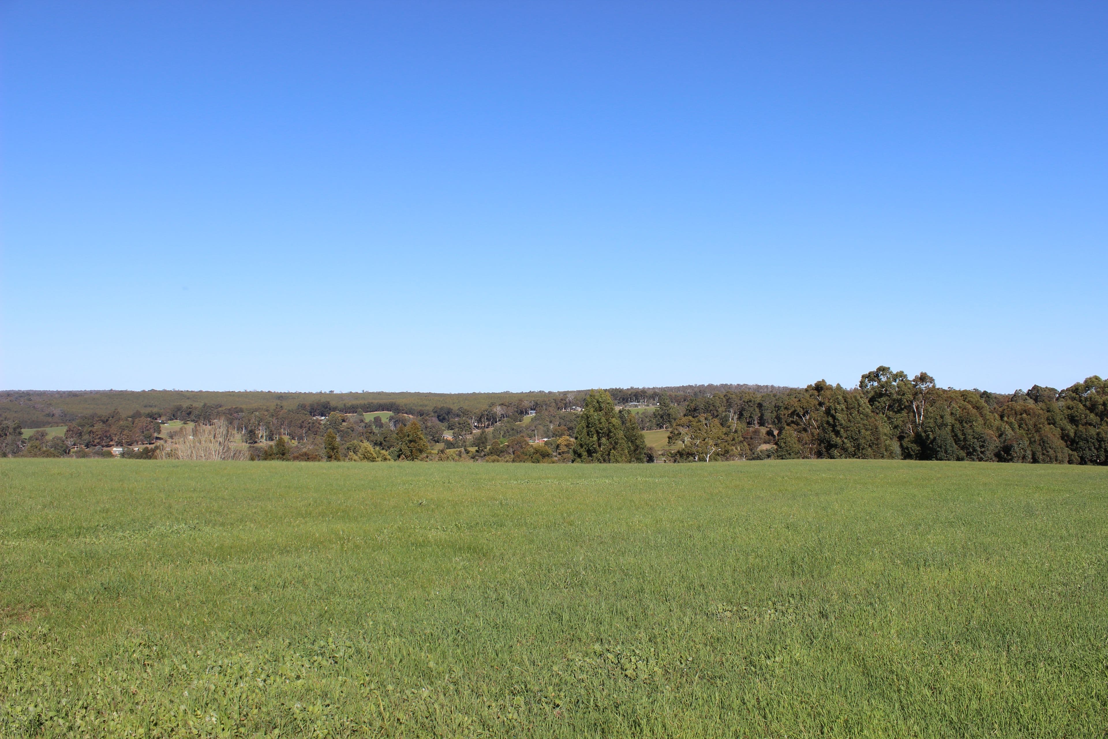 54 Hester Road, Bridgetown WA 6255, Bridgetown - Thumbnail 5