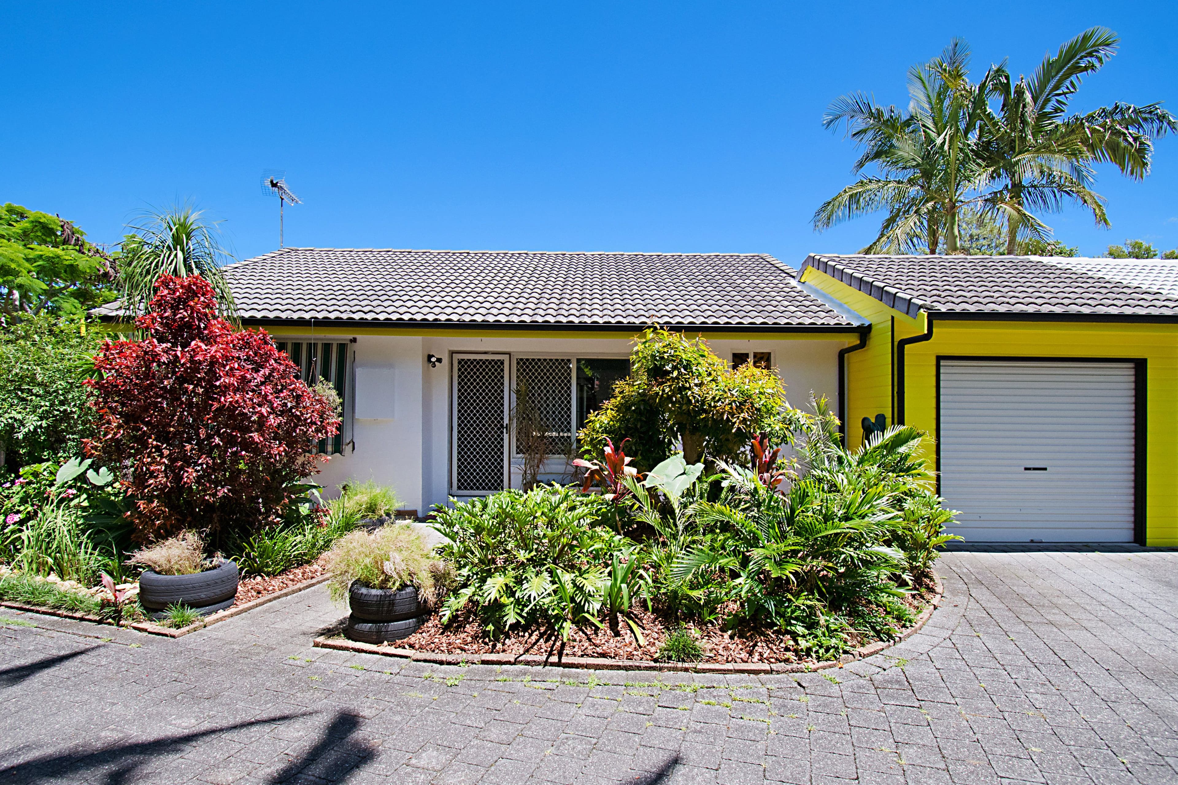 41 Belongil Crescent, Byron Bay NSW 2481, Byron Bay - Thumbnail 3