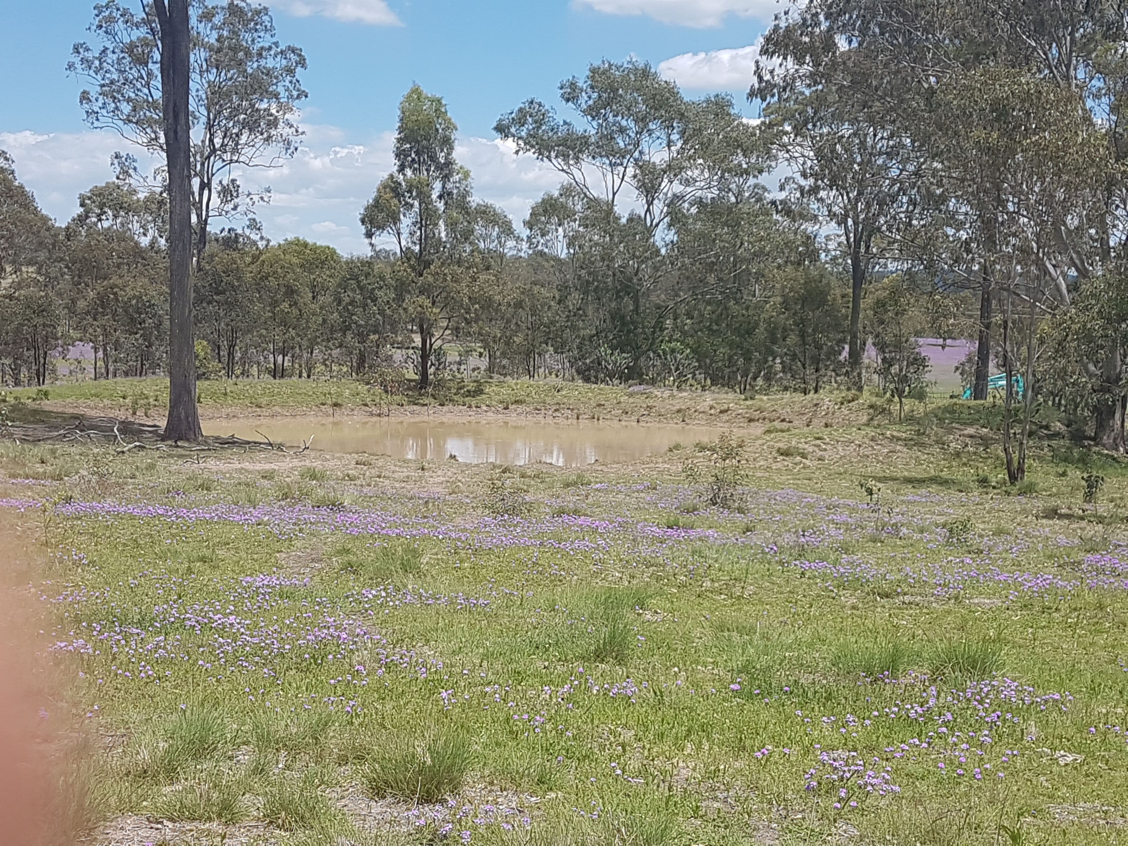 3303 New England Highway, Cooyar QLD 4402, Cooyar - Thumbnail 5