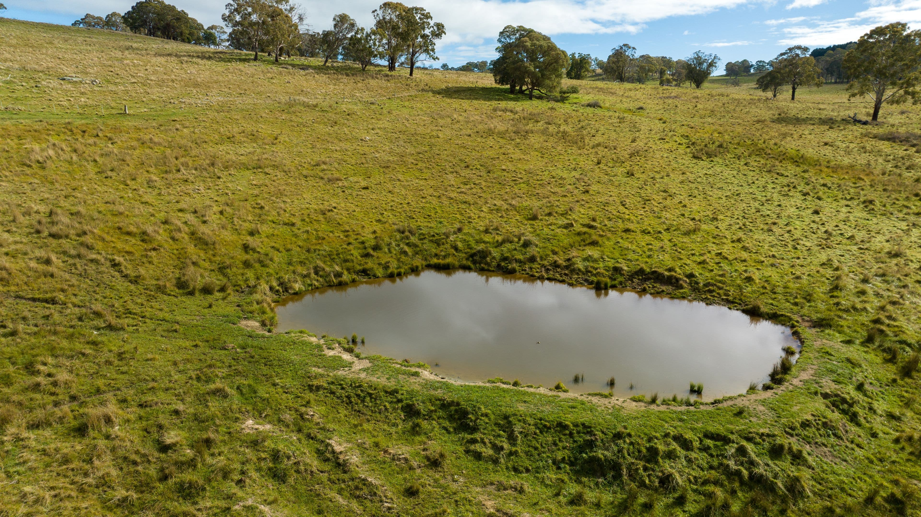 5444 New England Highway, Llangothlin NSW 2365, Llangothlin - Thumbnail 8