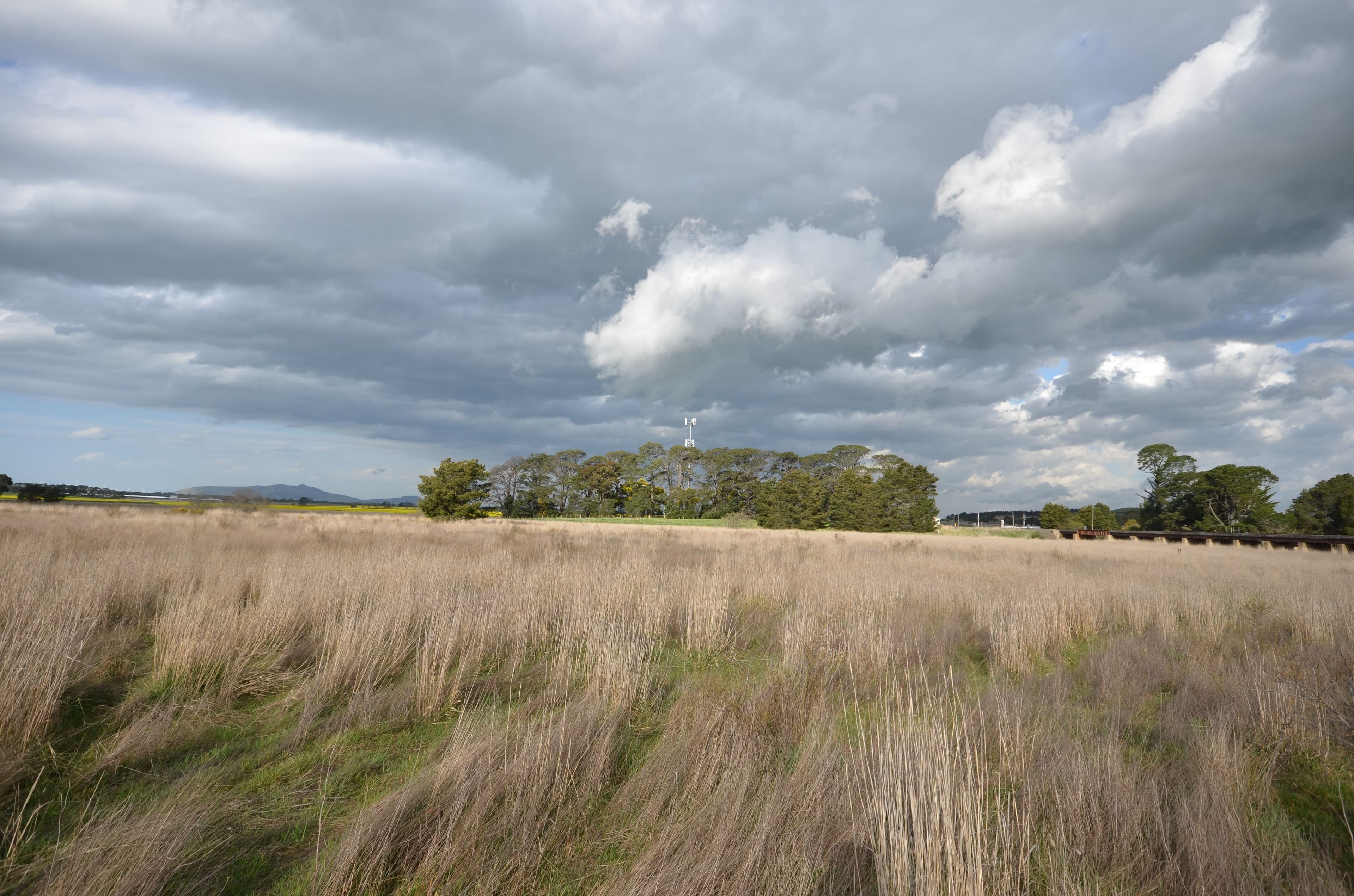 CA 24 Trawalla - Waterloo Road, TRAWALLA  Victoria  3373, Australia, Trawalla - Thumbnail 3