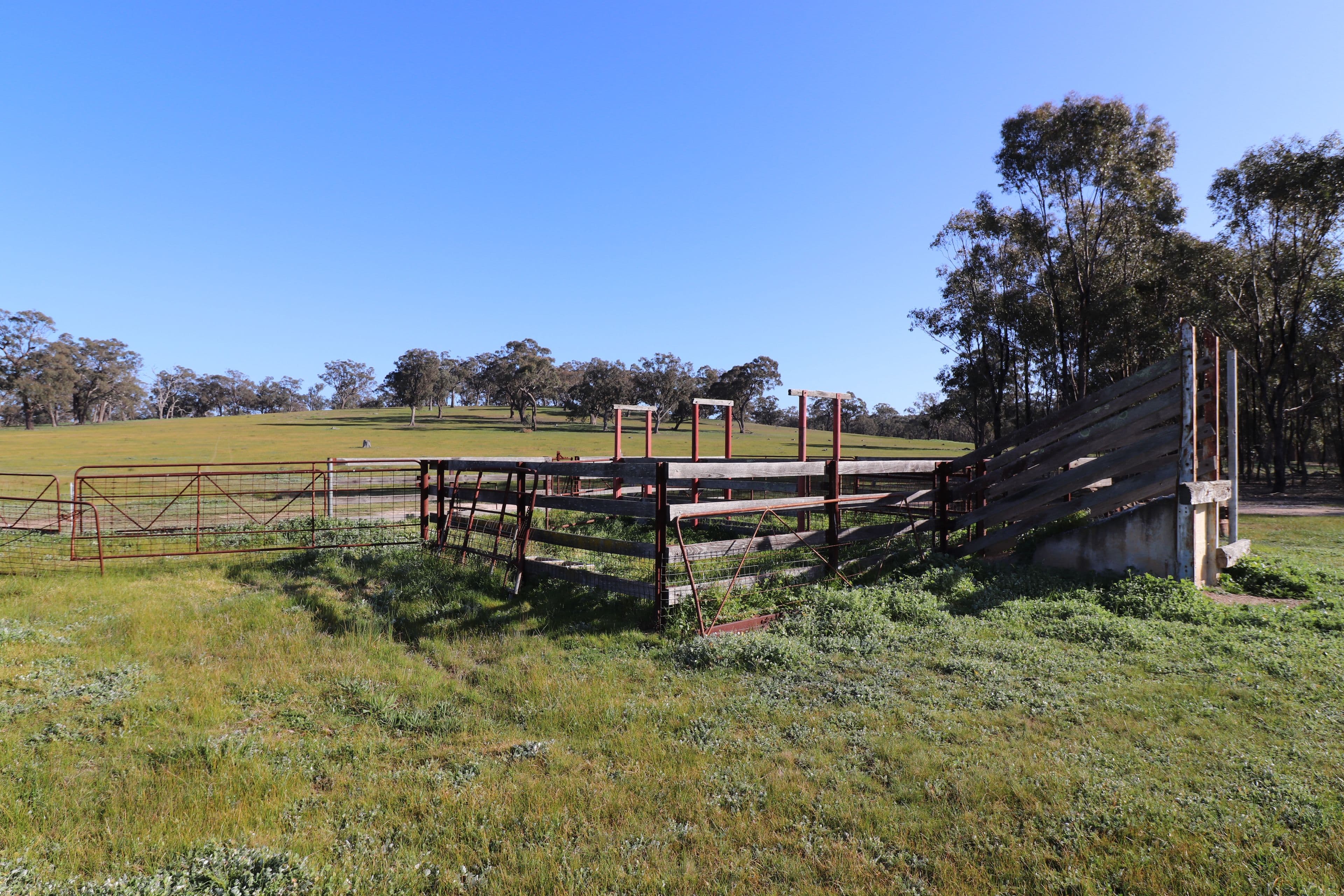 195 Camp Road, Murchison VIC 3610, Murchison - Thumbnail 2
