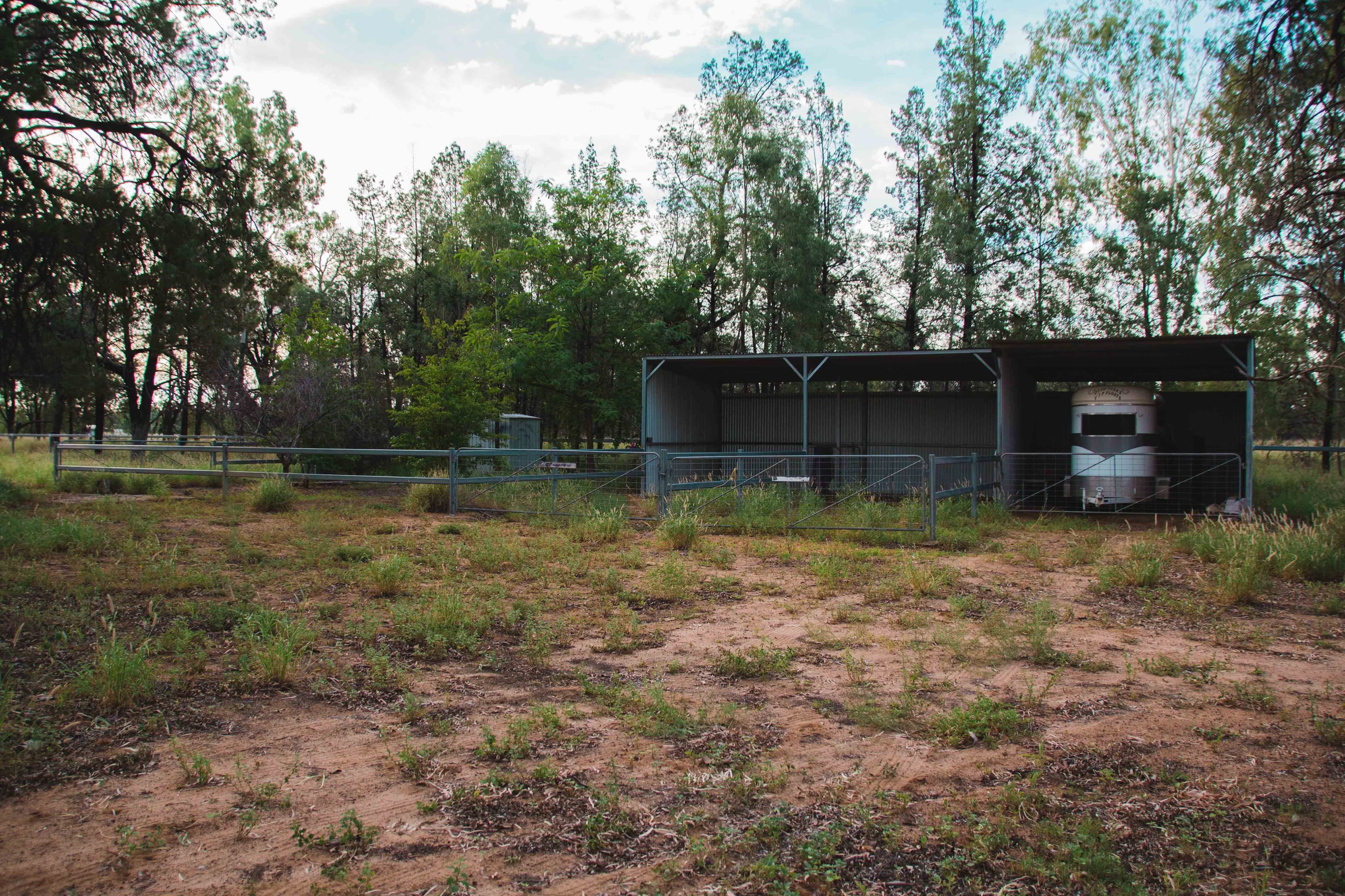 0 Banjarra Drive, Charleville QLD 4470, Charleville - Thumbnail 7