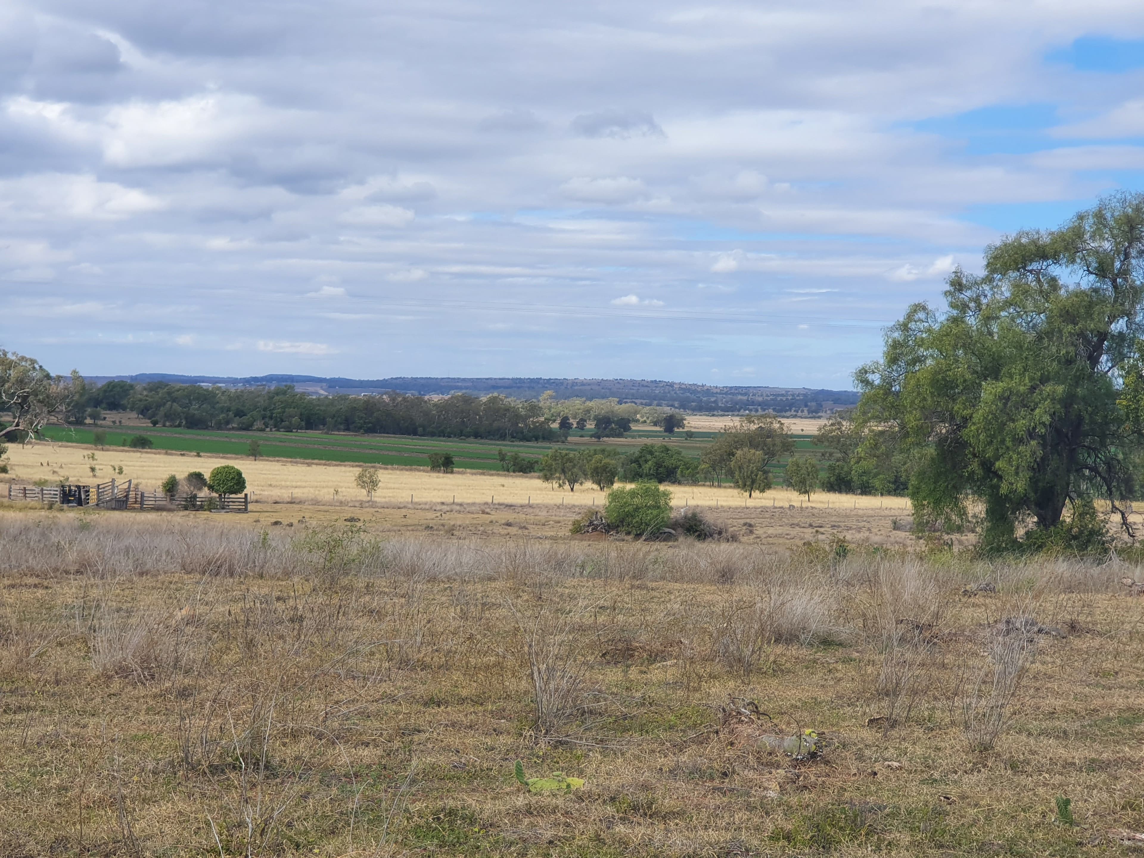 L1 Pechey Maclagan Road, Rosalie Plains QLD 4401, Rosalie Plains - Thumbnail 3