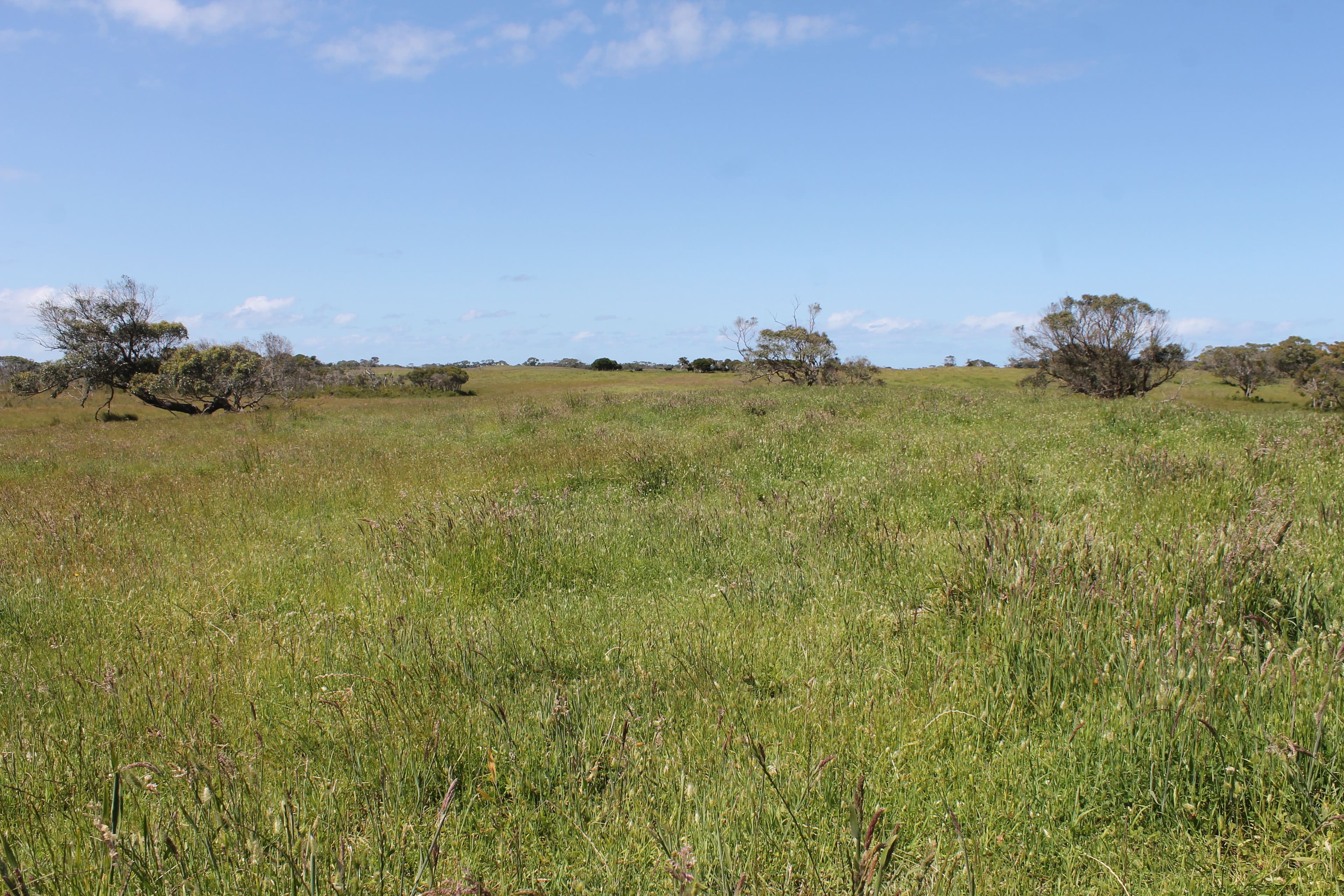 Lot 2 Boundary Road, Inverloch VIC 3996, Inverloch - Thumbnail 6