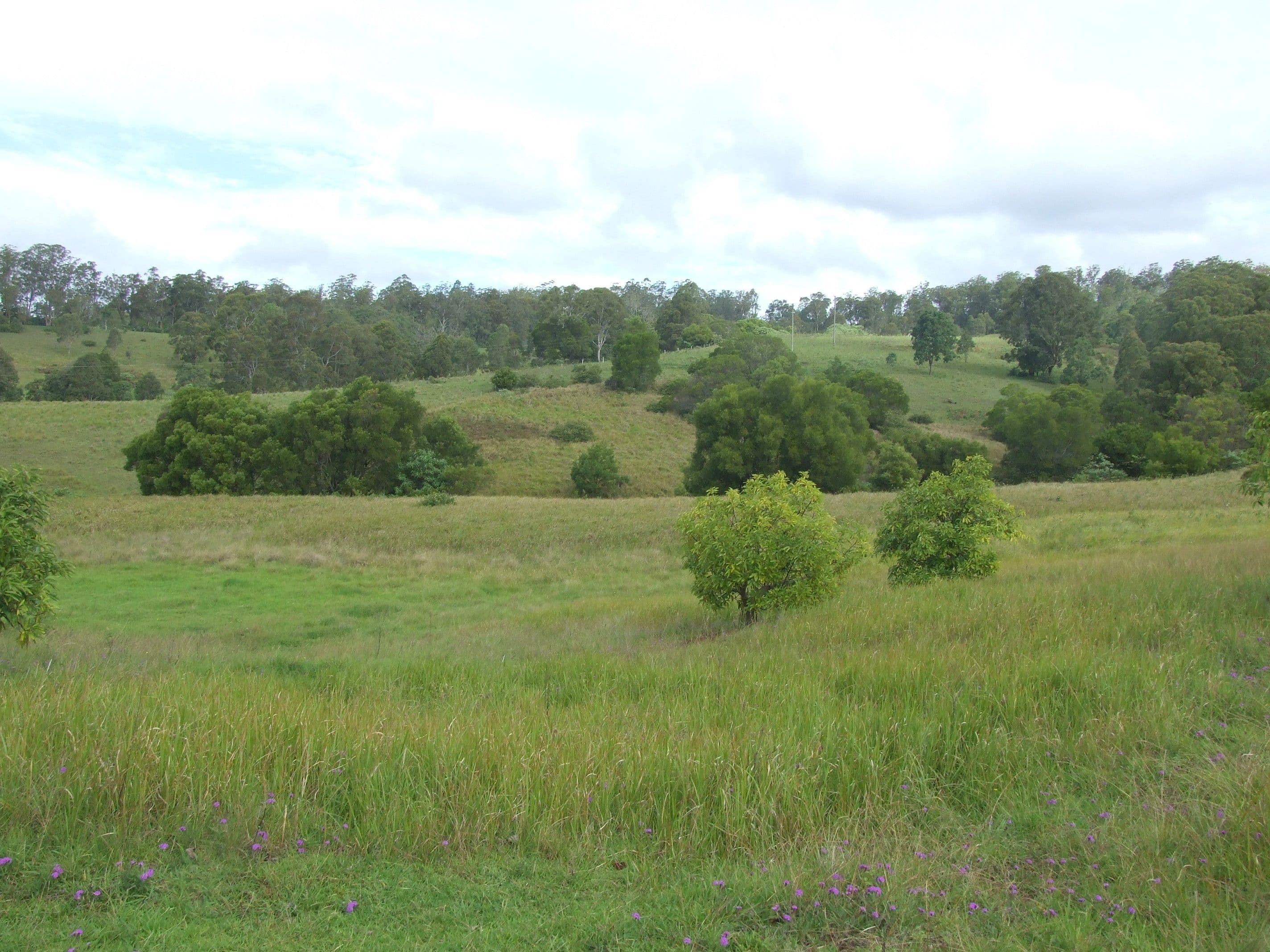 L47 Christy Road, Ravensbourne QLD 4352, Ravensbourne - Thumbnail 7