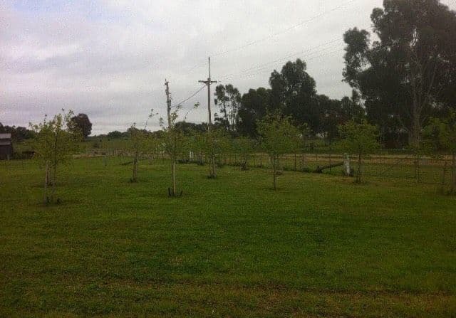 75 Macaulay Street, Talbot VIC 3371, Talbot - Thumbnail 2