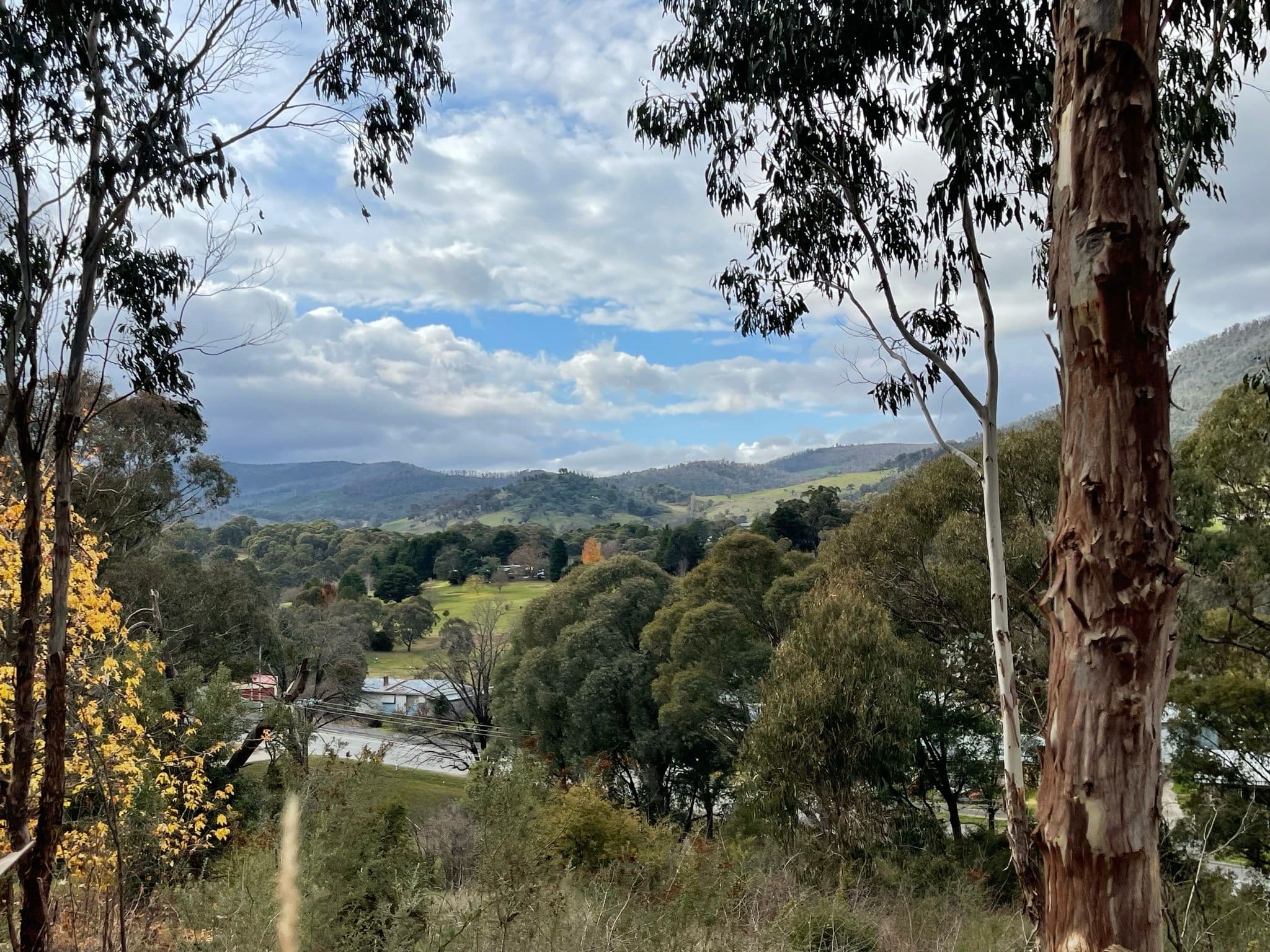 Tumbarumba NSW 2653, Tumbarumba - Image 1