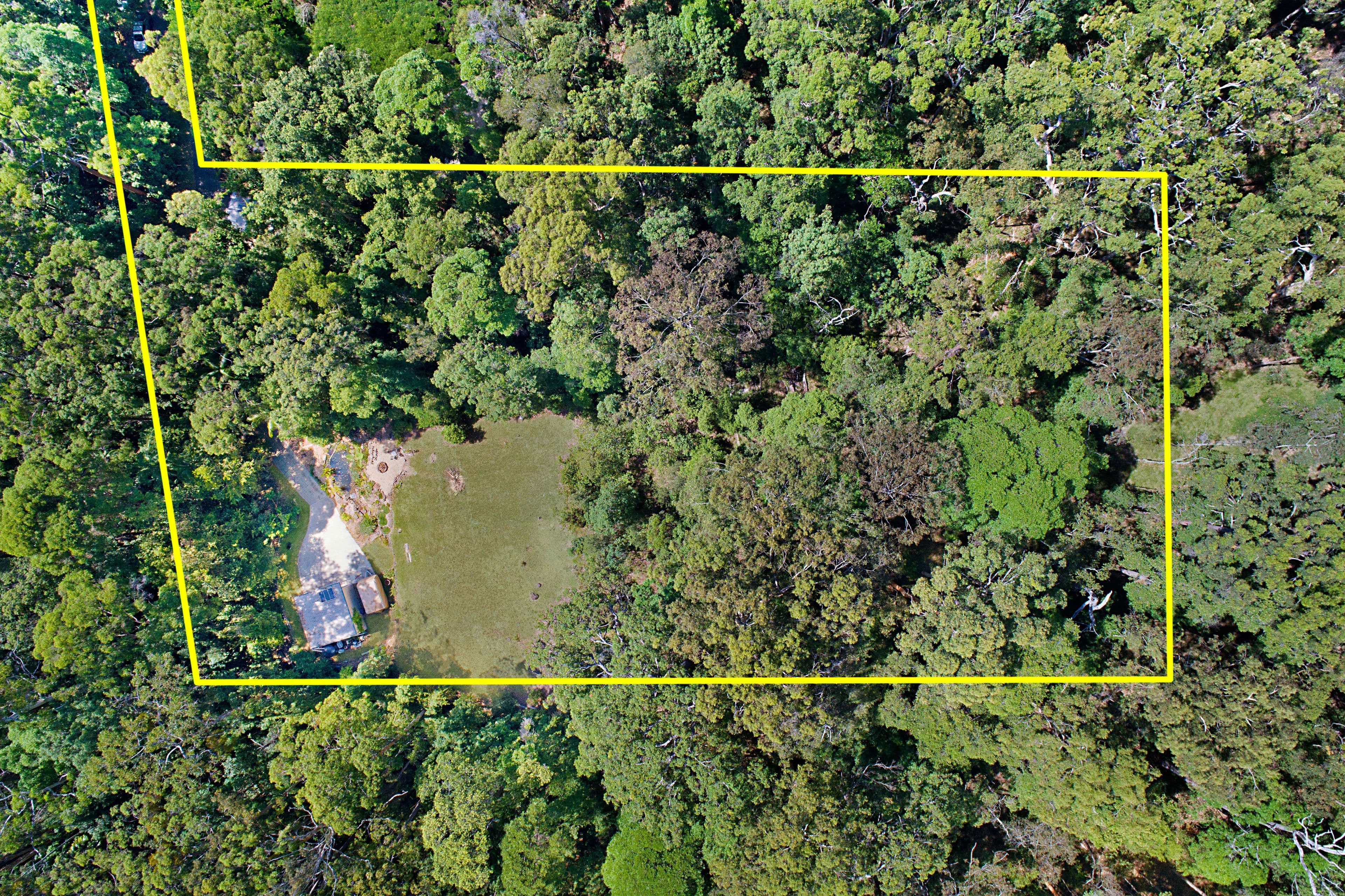 46 Toulambi Drive, Buderim QLD 4556, Buderim - Thumbnail 4