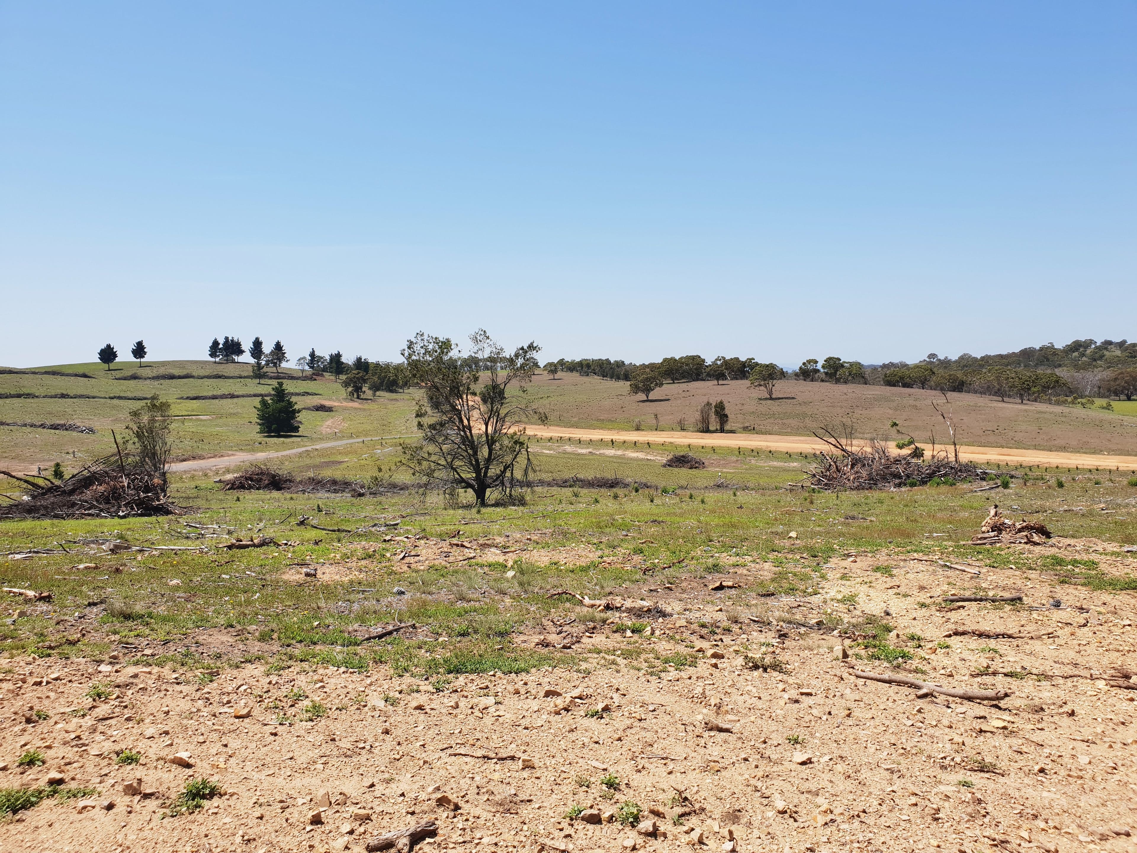 Lot 3 Mount Fairy Road, Mount Fairy NSW 2580, Mount Fairy - Thumbnail 7