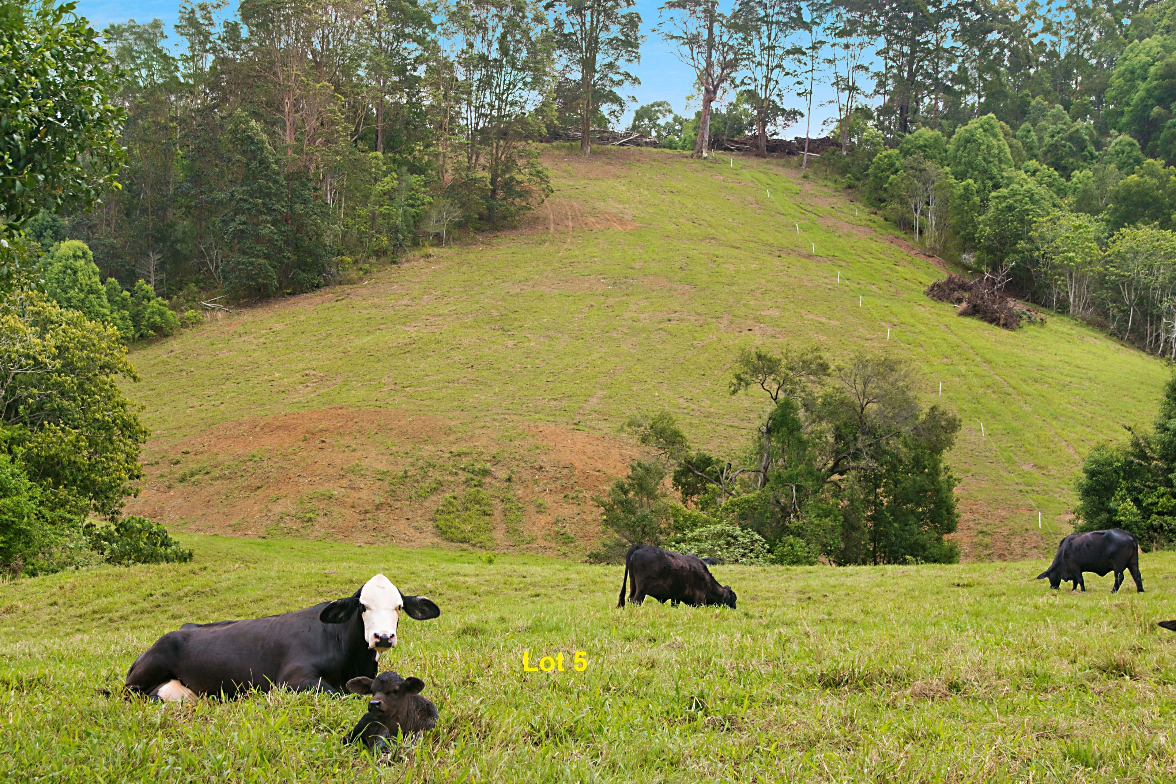 Lot 5, 19-23 Tarcoola Lane, Uki NSW 2484, Uki - Image 1