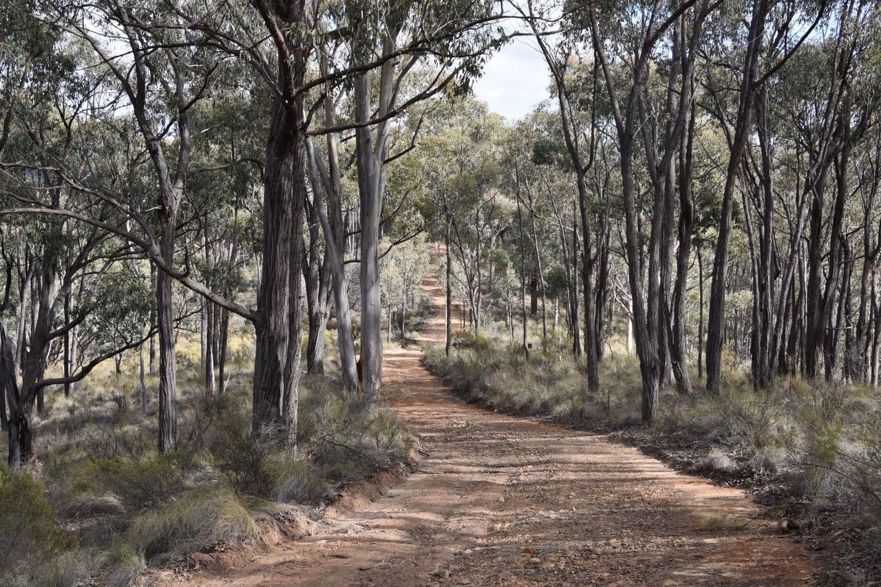Oberon NSW 2787, Oberon - Thumbnail 7