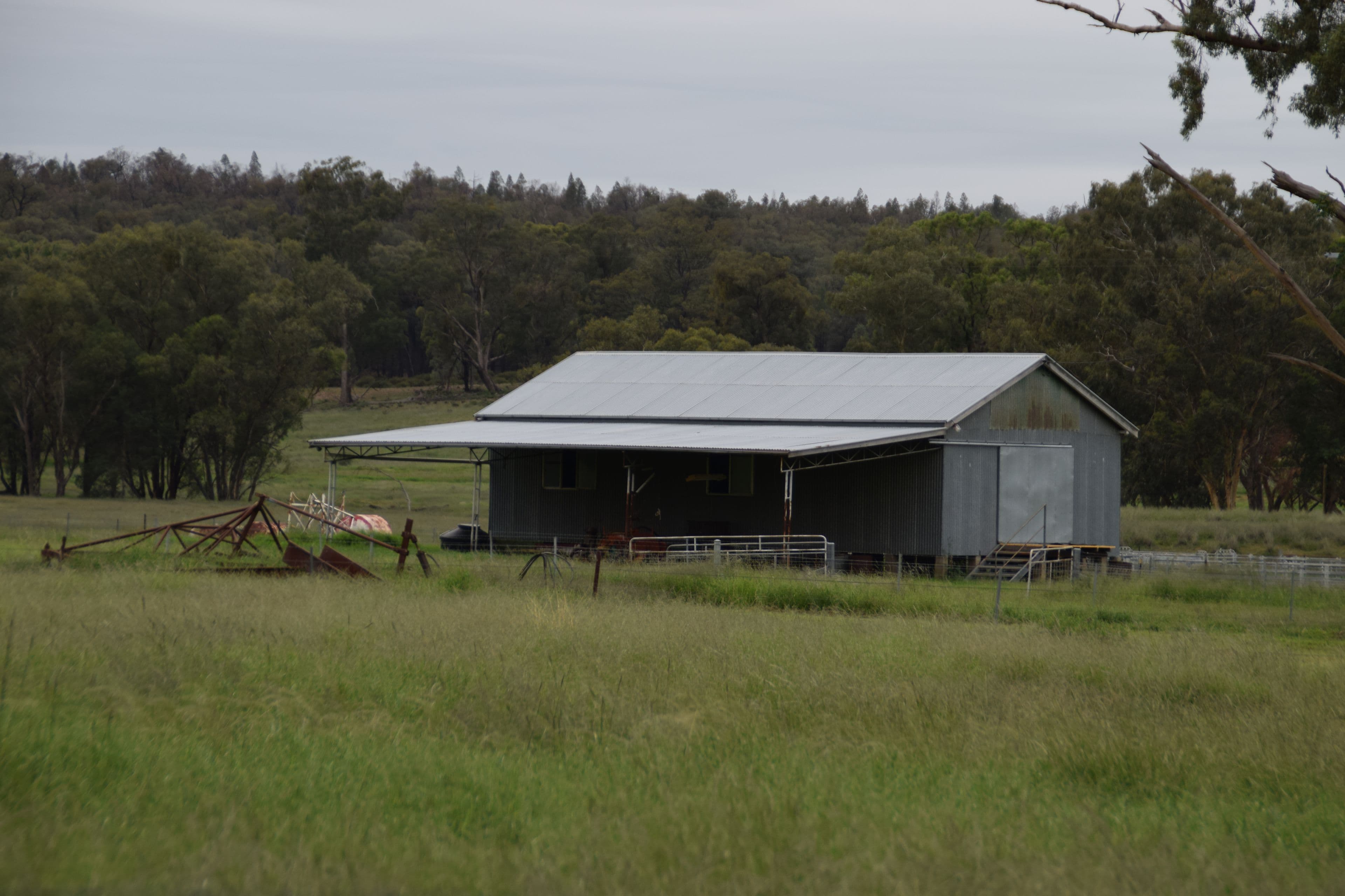'Appletree Flat' 1864 Castlereagh Highway, Mendooran NSW 2842, Mendooran - Thumbnail 2