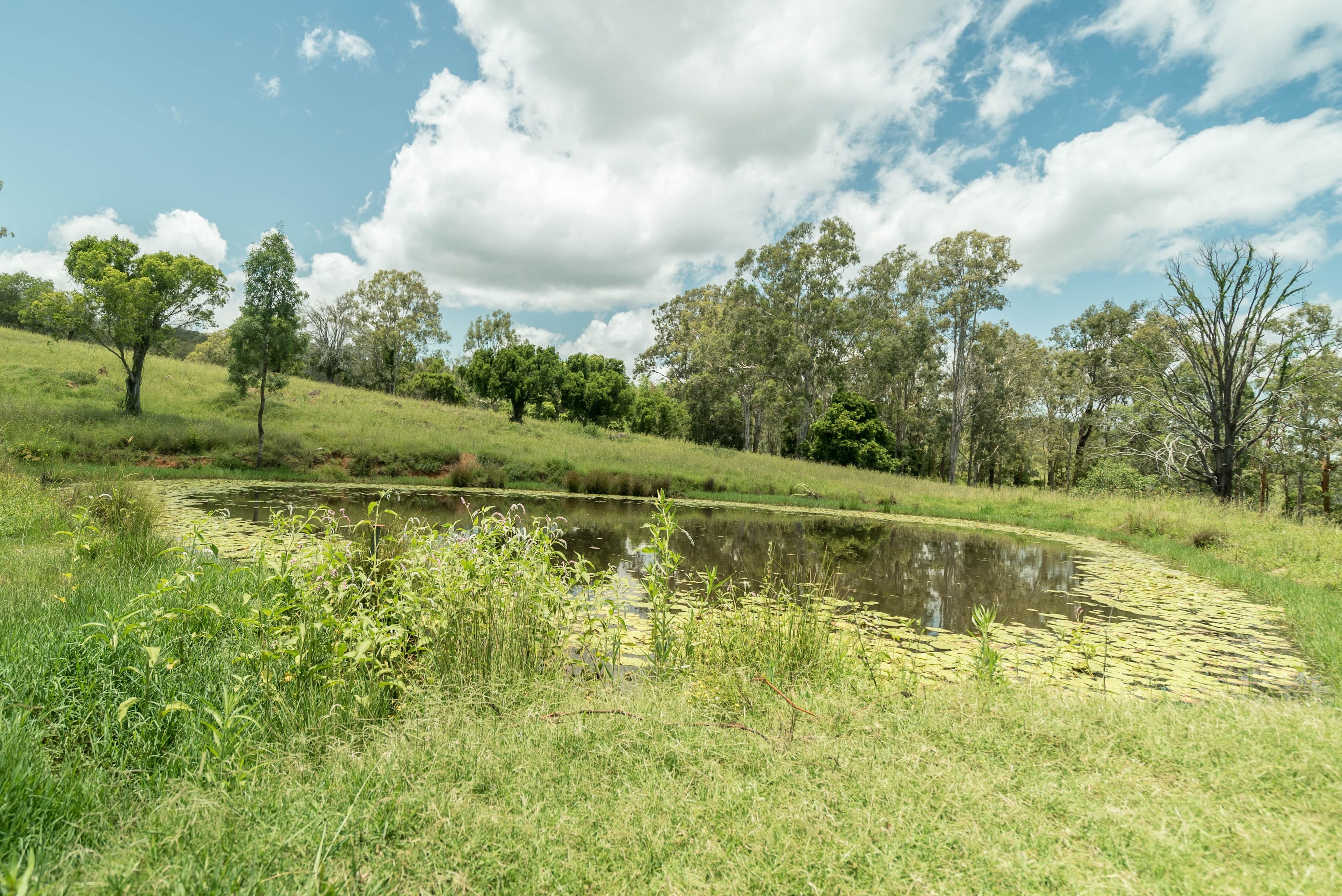 189 Zingelmann Road, Milbong QLD 4310, Milbong - Thumbnail 3