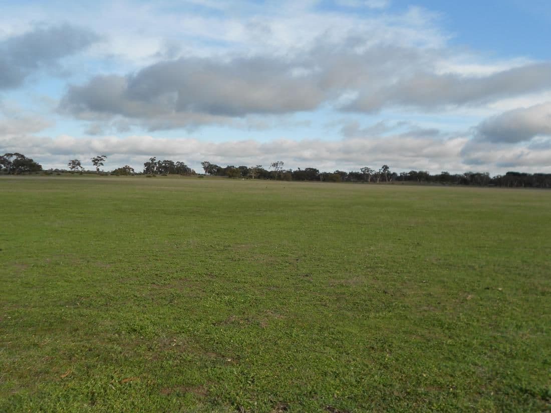 343 Cooper Road, Bordertown South SA 5268, Bordertown South - Thumbnail 8