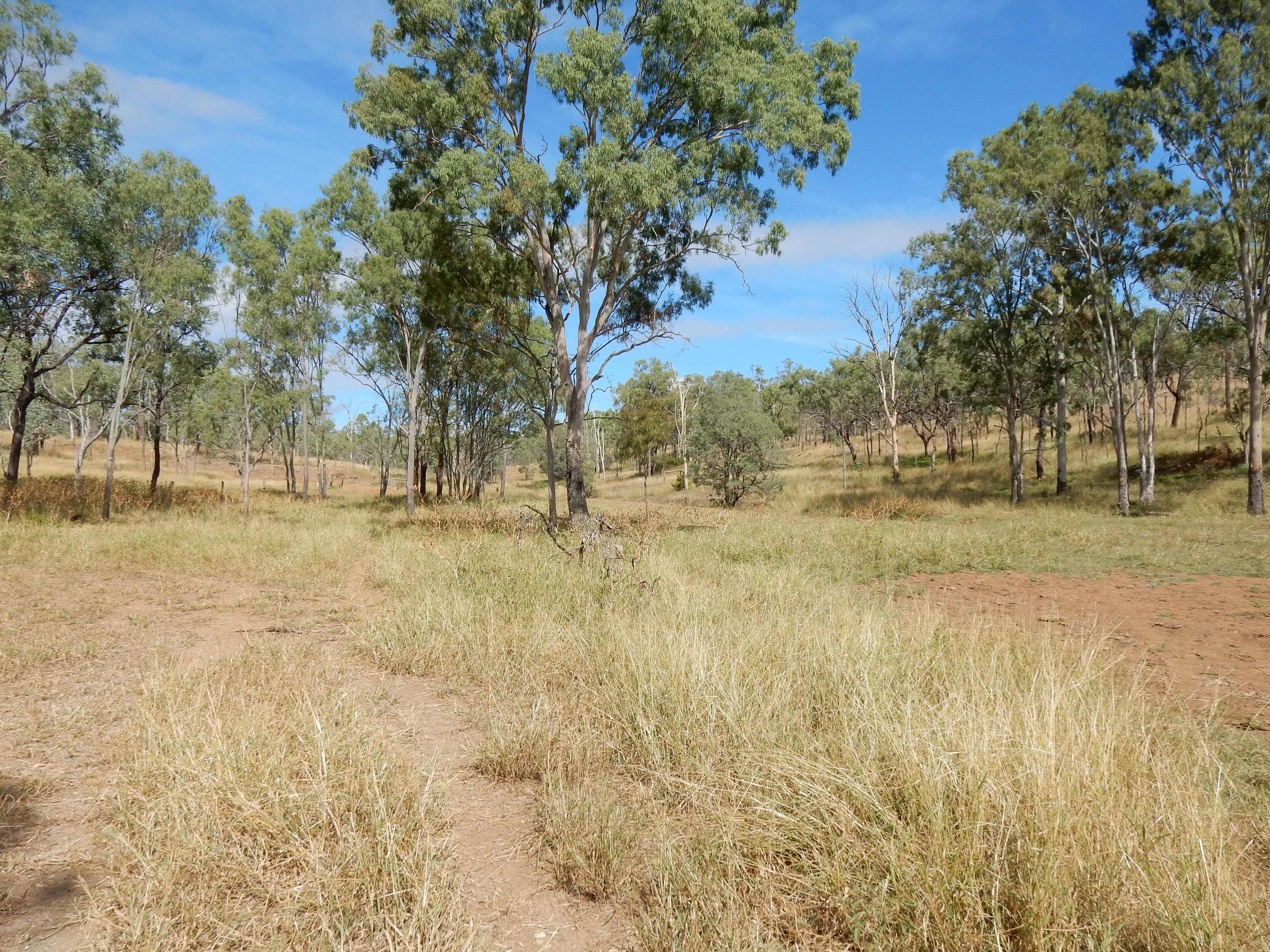 Thangool QLD 4716, Thangool - Thumbnail 3