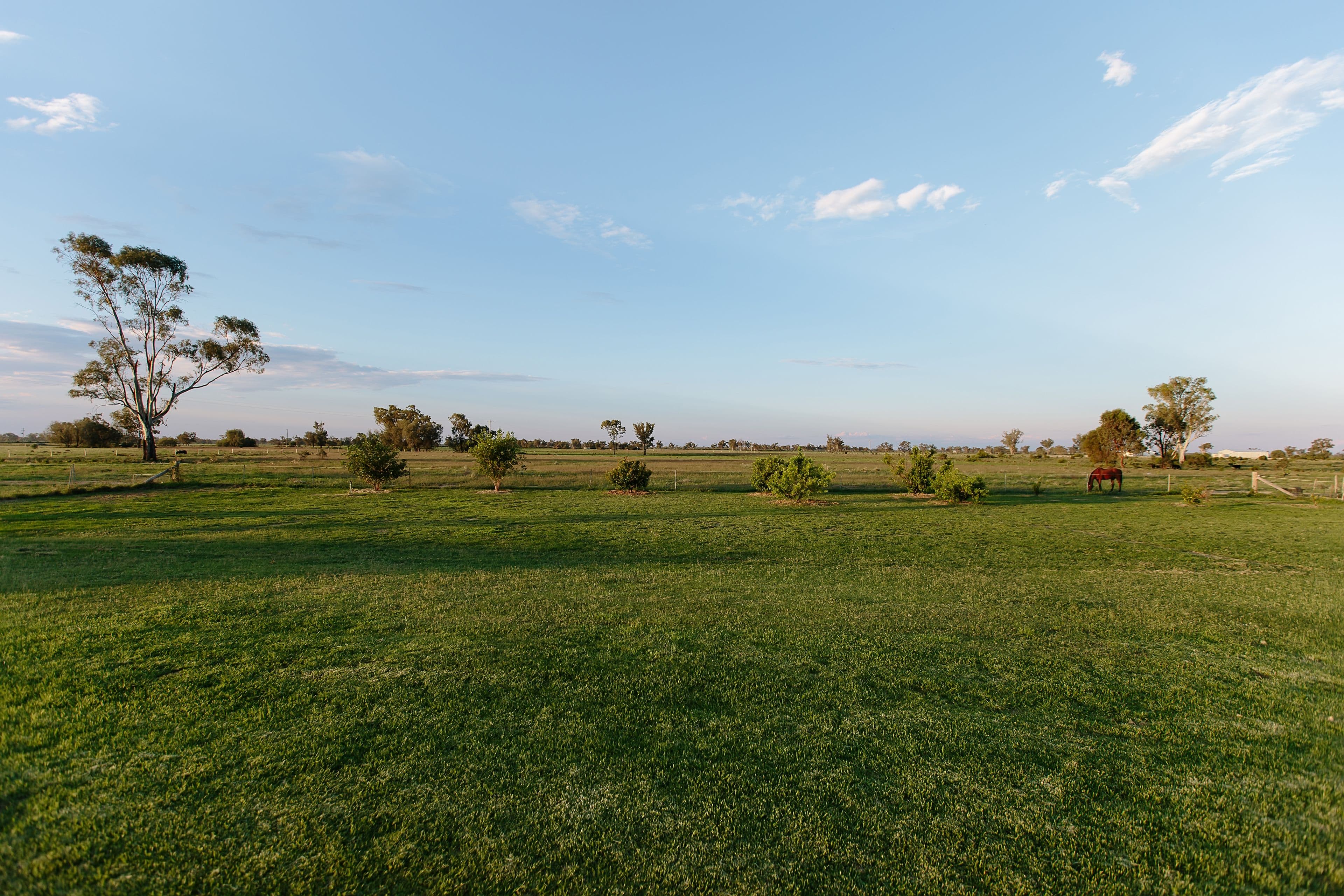 451 Kildonan Road, Goondiwindi QLD 4390, Goondiwindi - Thumbnail 7