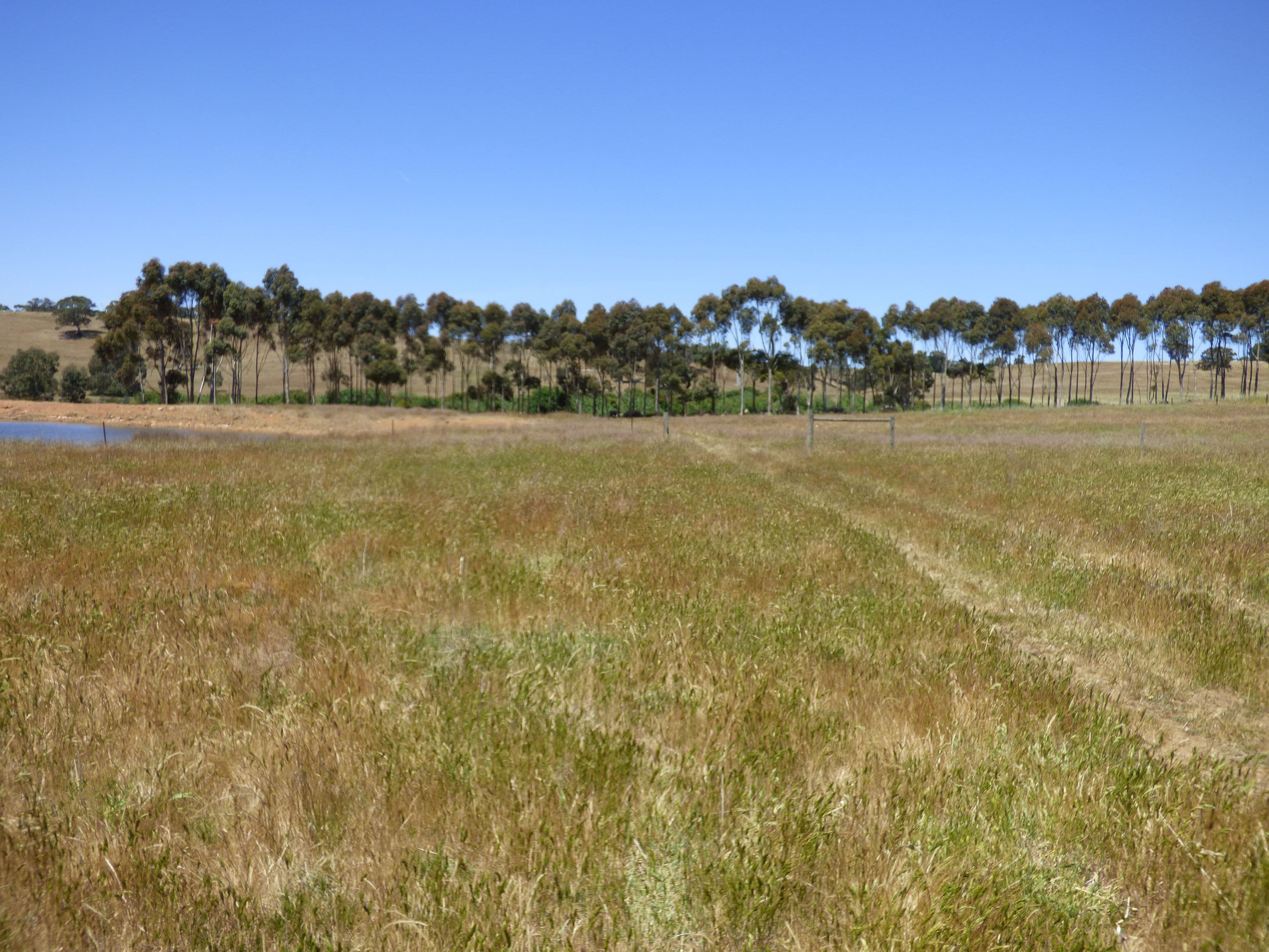 Lot 3 Klenke Road, Wistow SA 5251, Wistow - Thumbnail 8