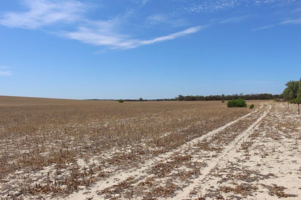 Lot M344 Mt Horner Road, Yardarino WA 6525, Yardarino - Thumbnail 4