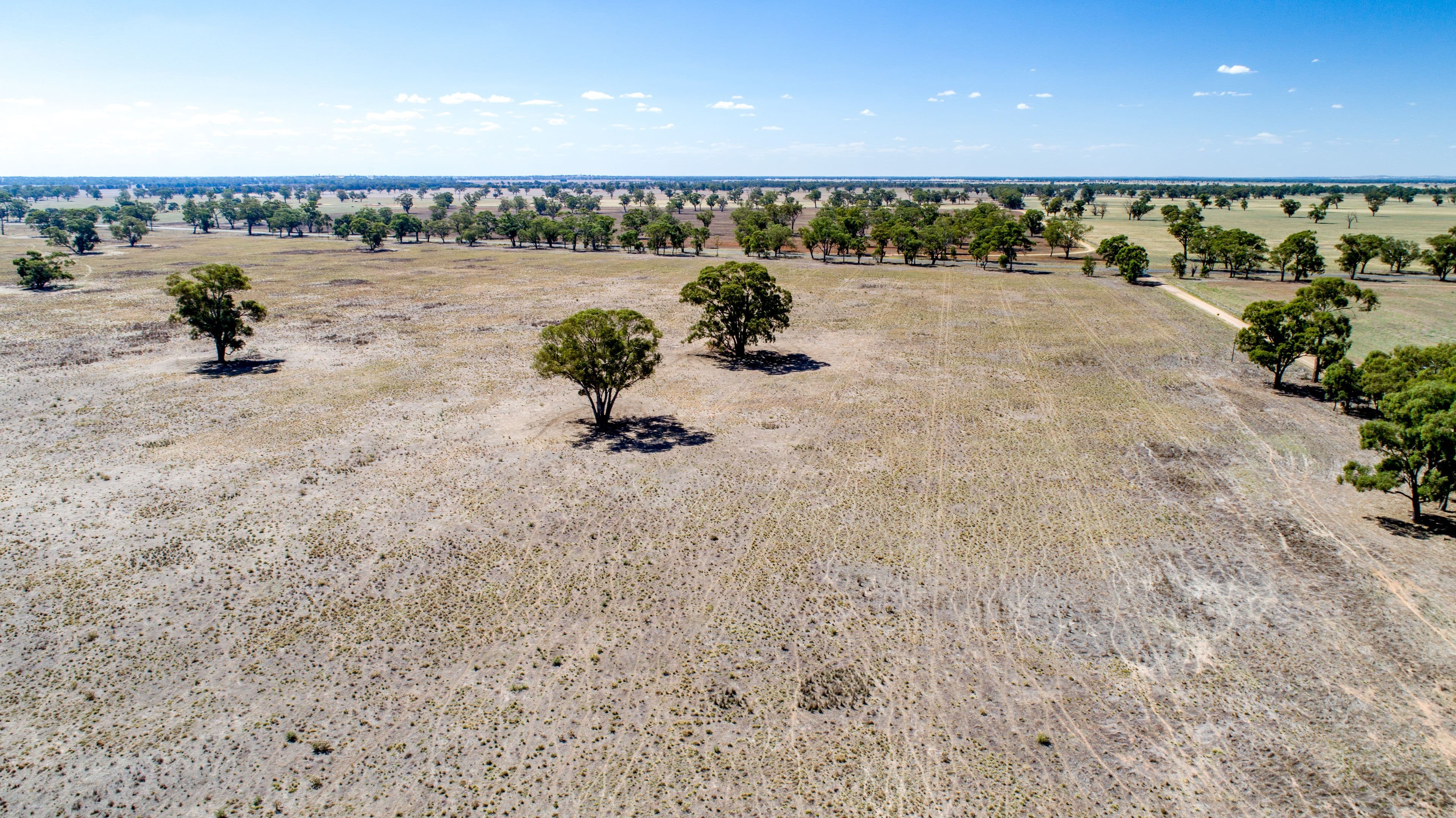 368 Bullenbong Road, THE ROCK NSW 2655, The Rock - Thumbnail 7