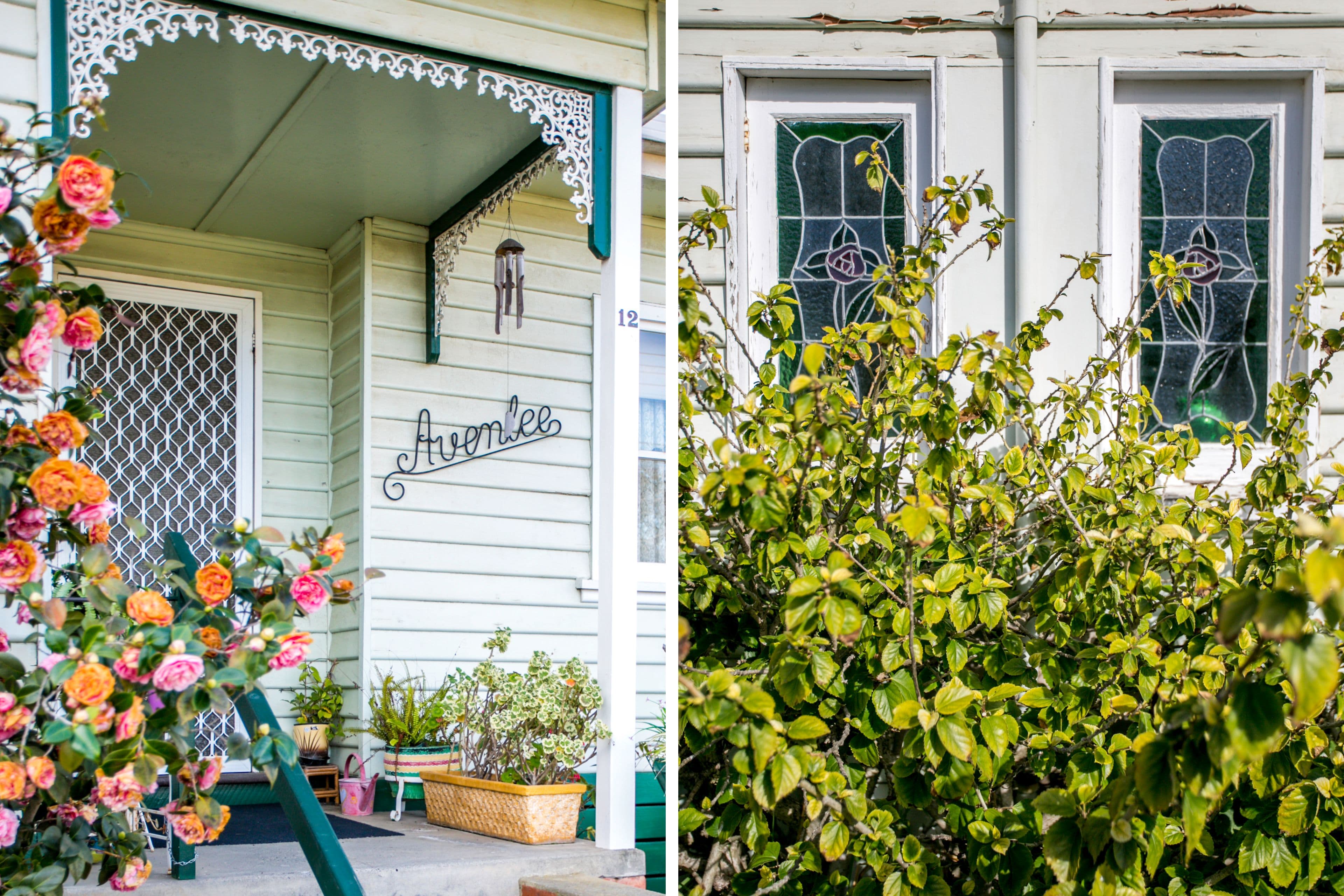 12 Magnolia Street, Oak Park VIC 3046, Oak Park - Thumbnail 4