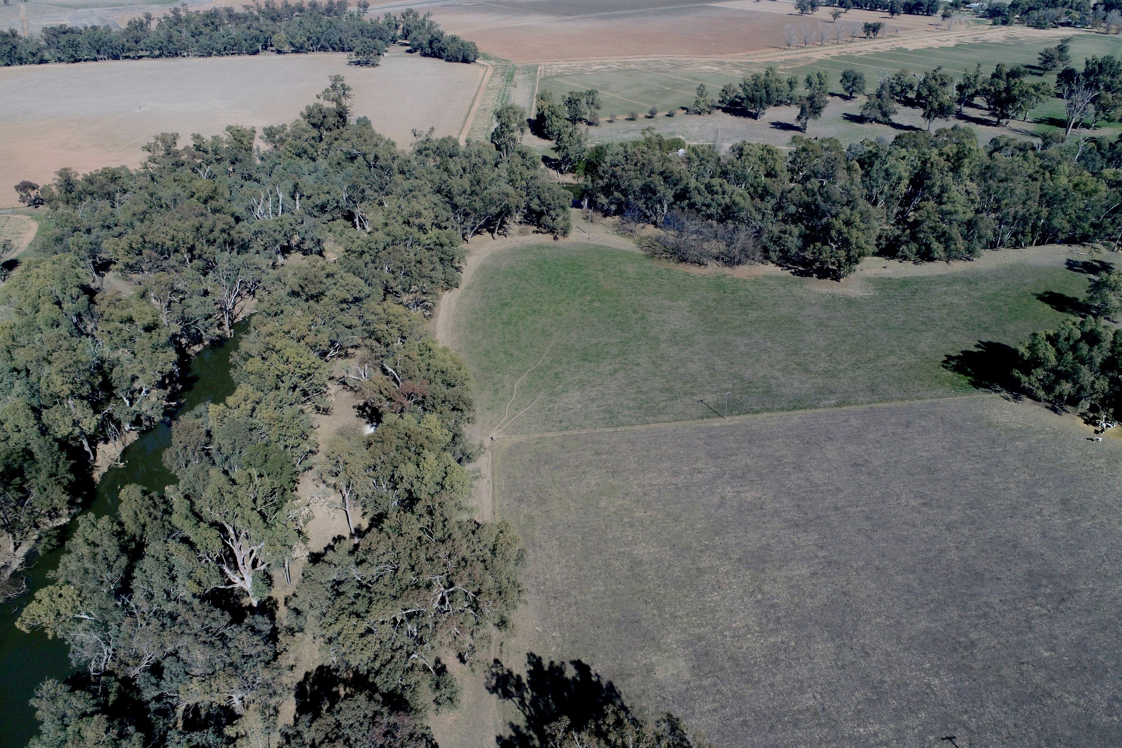 43 Wilmar Lane - Old Grudgery, Forbes NSW 2871, Forbes - Thumbnail 5