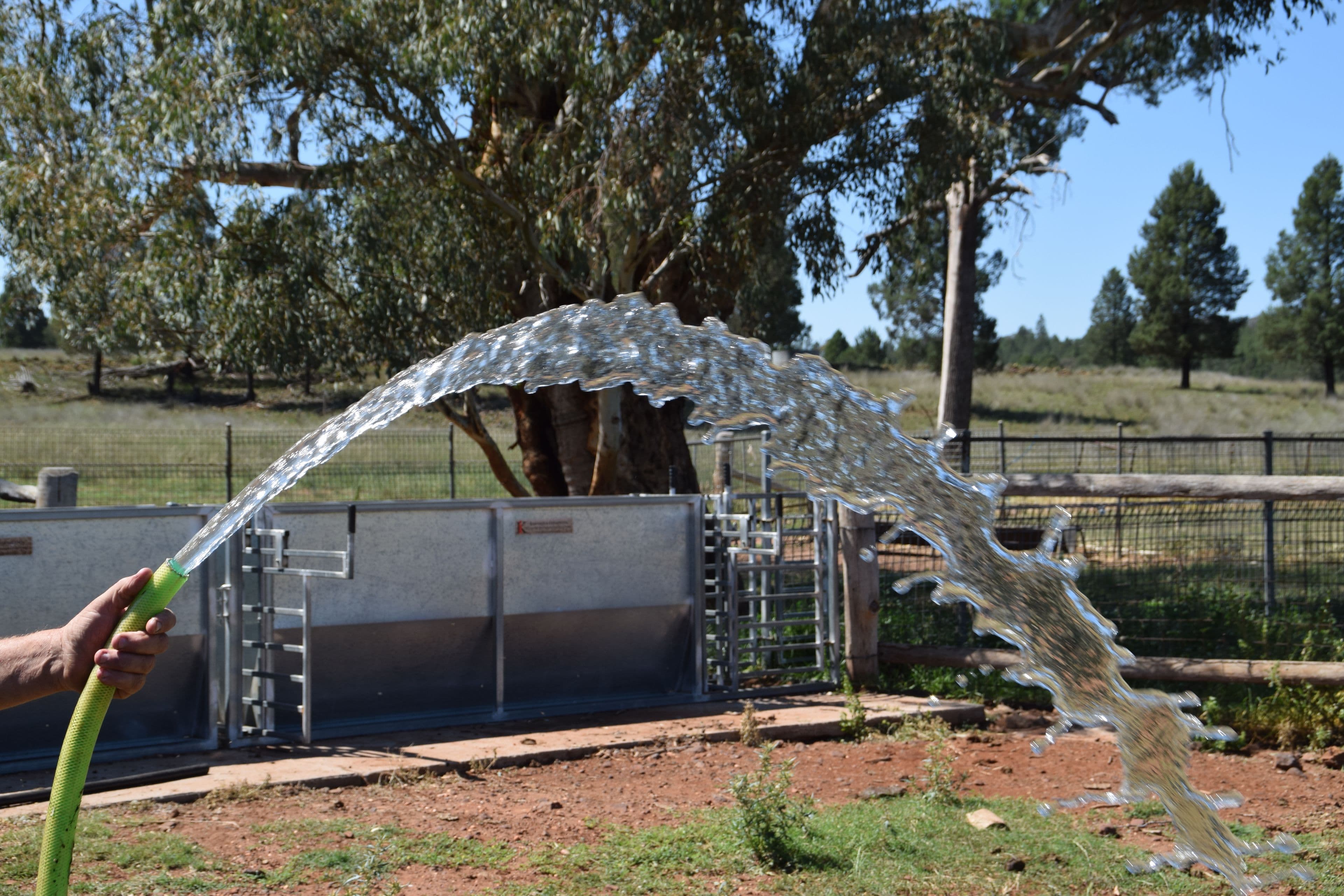 'Borambil' 912 Tooraweenah Road, MENDOORAN NSW 2842, Mendooran - Thumbnail 8