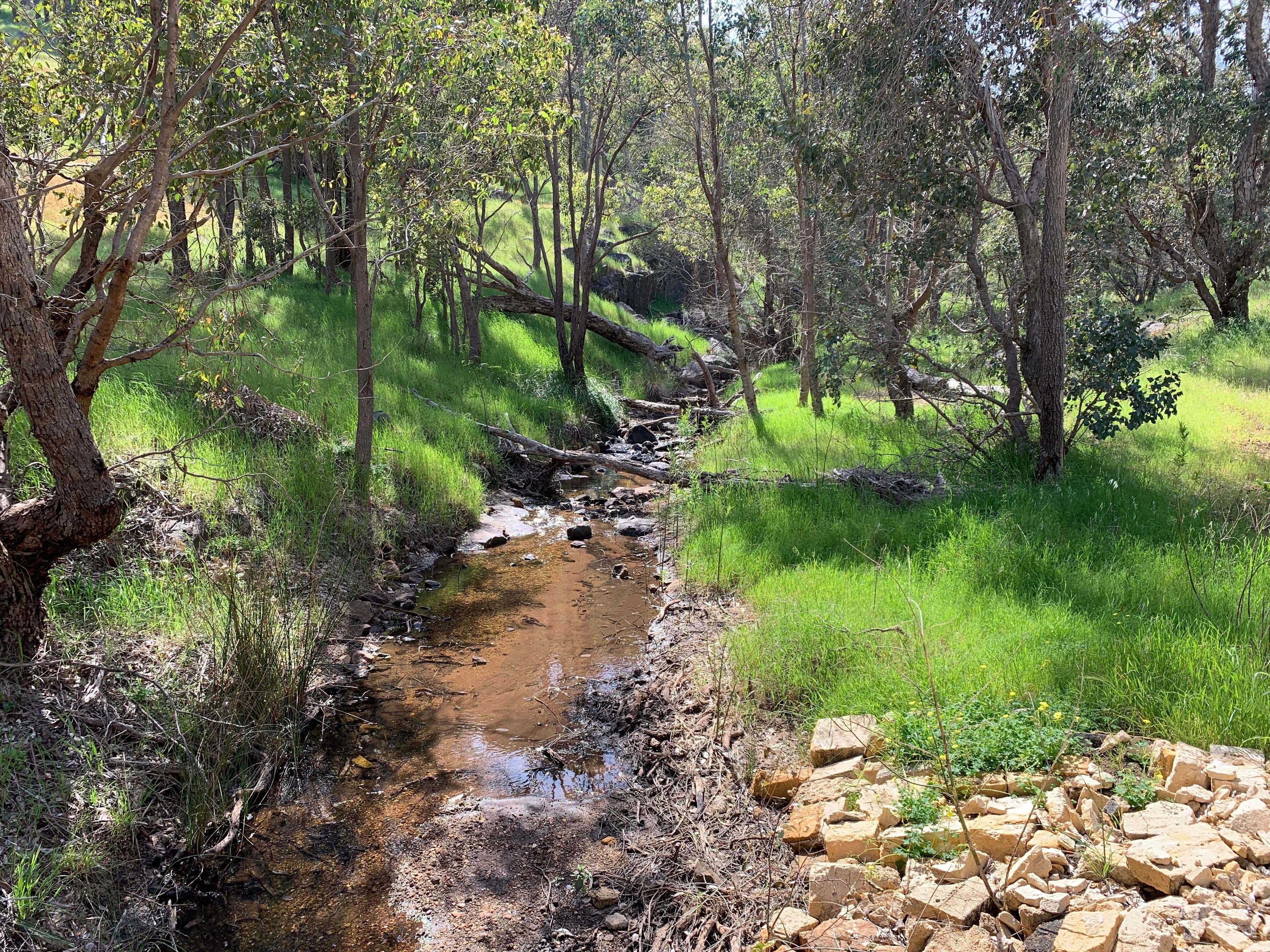 Lot 5 Kiln Road, Byford WA 6122, Byford - Thumbnail 4